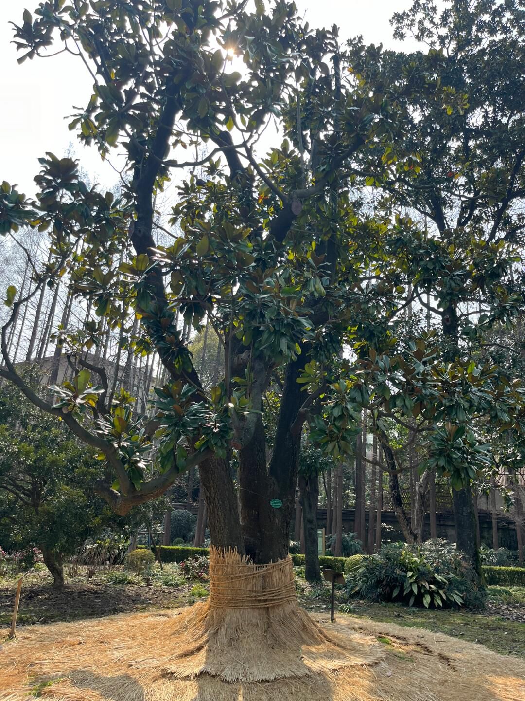 复兴公园旅行图片 1