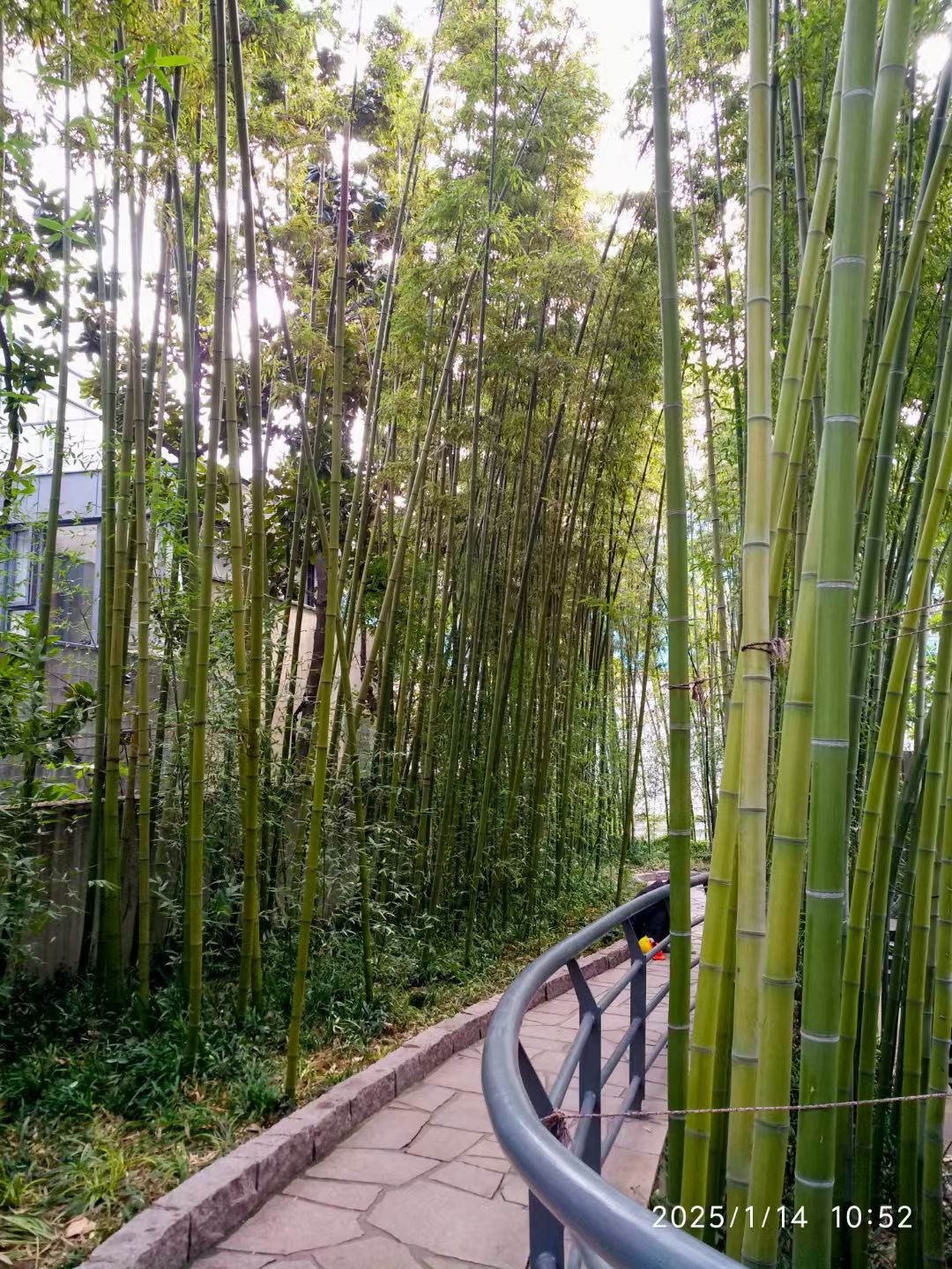 曹家渡花园旅行图片 2