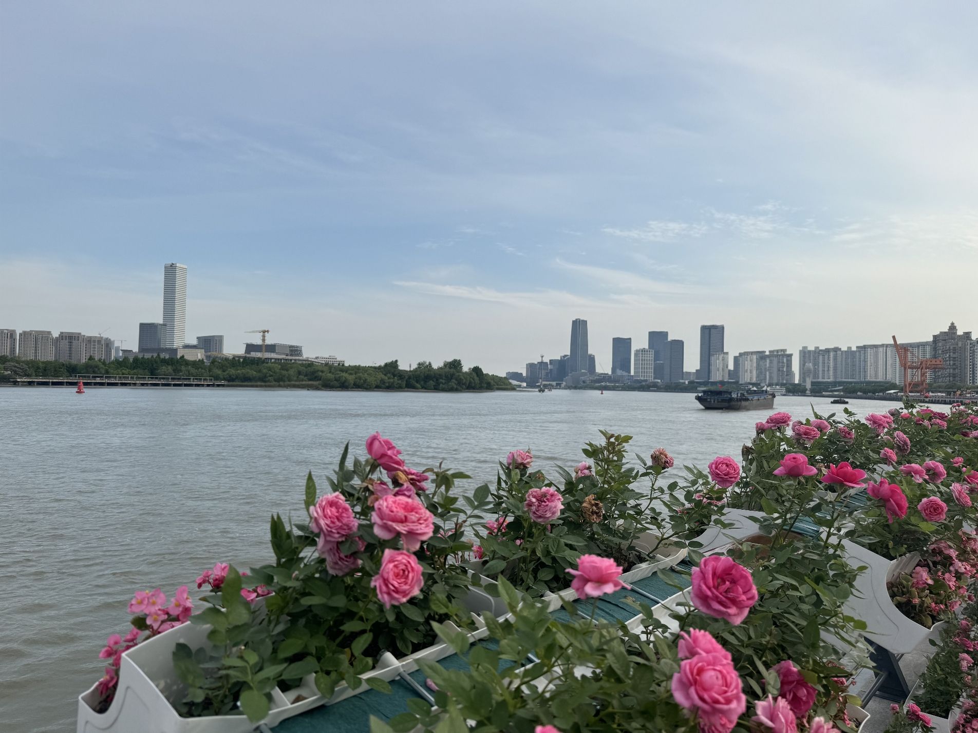 滨江公园