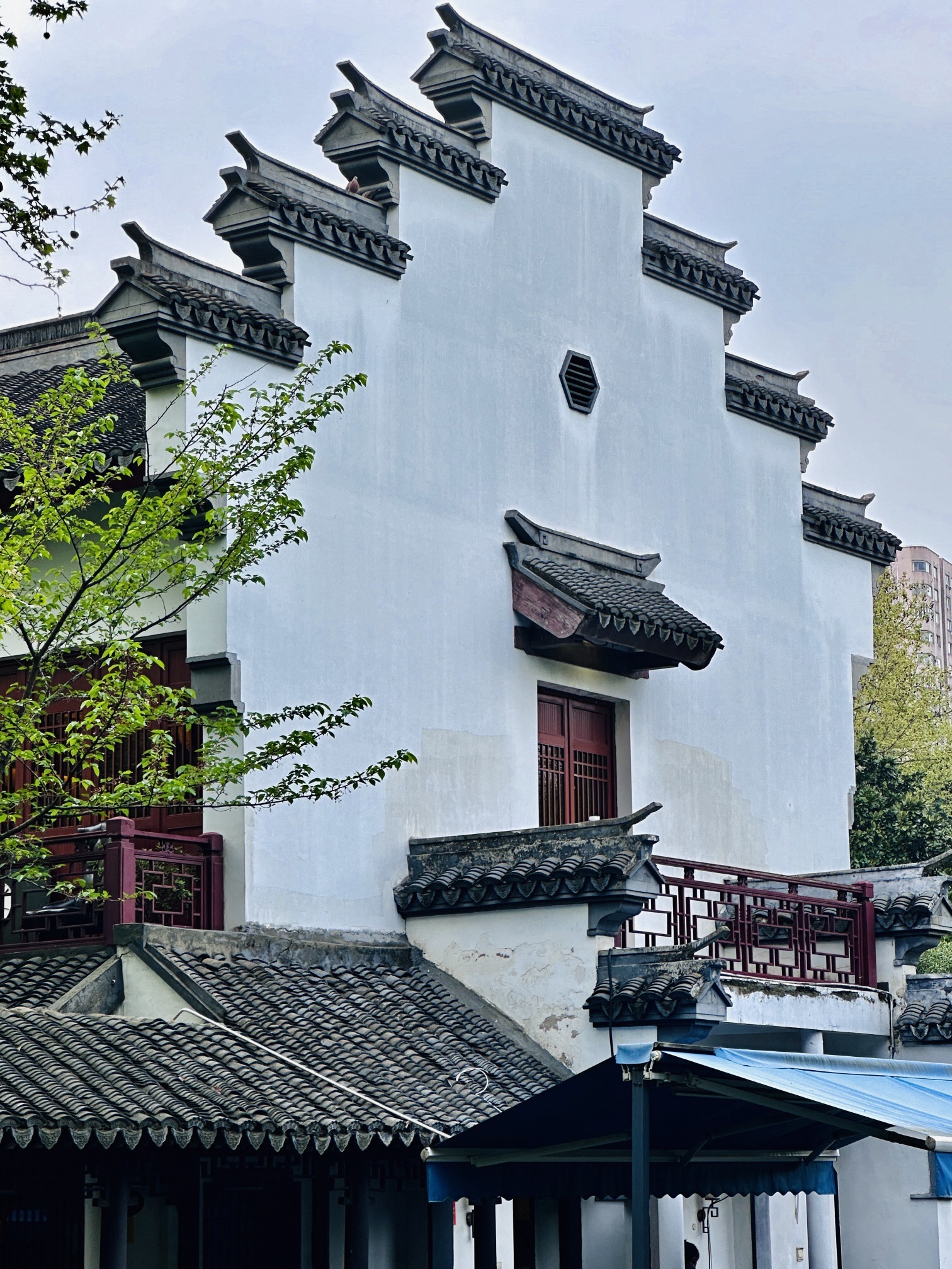 上海鲁迅公园旅行图片 2