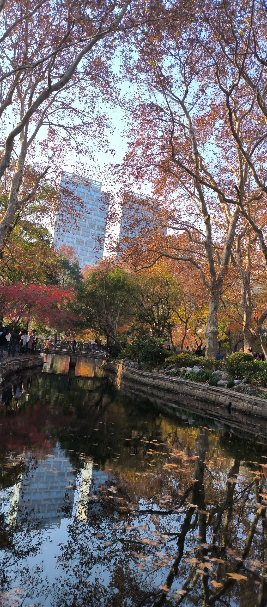 上海鲁迅公园旅行图片 2