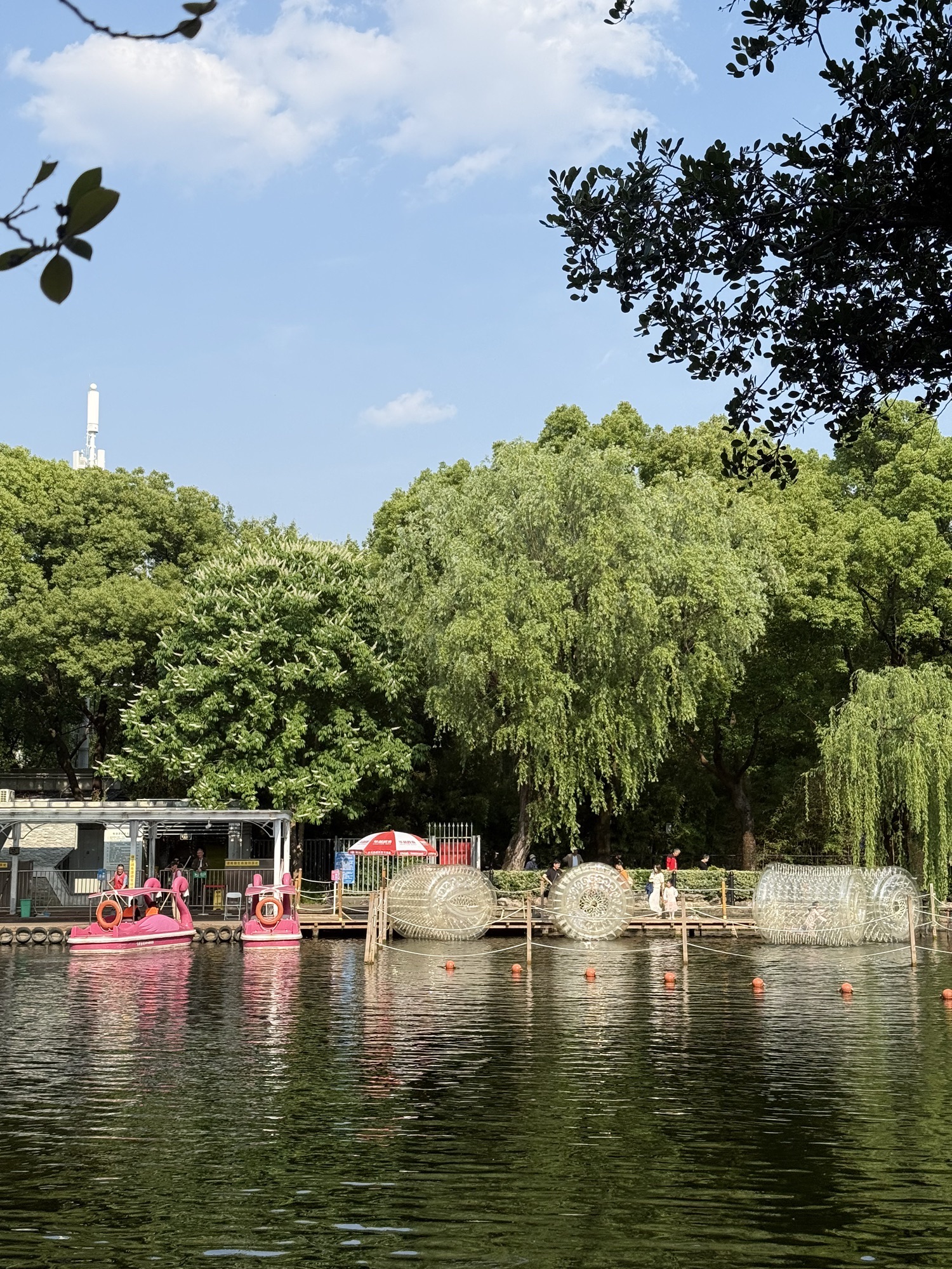 上海鲁迅公园旅行图片 2