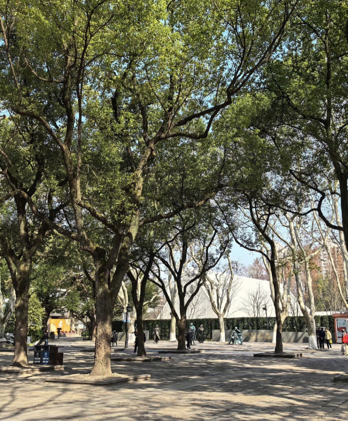 上海鲁迅公园旅行图片 2