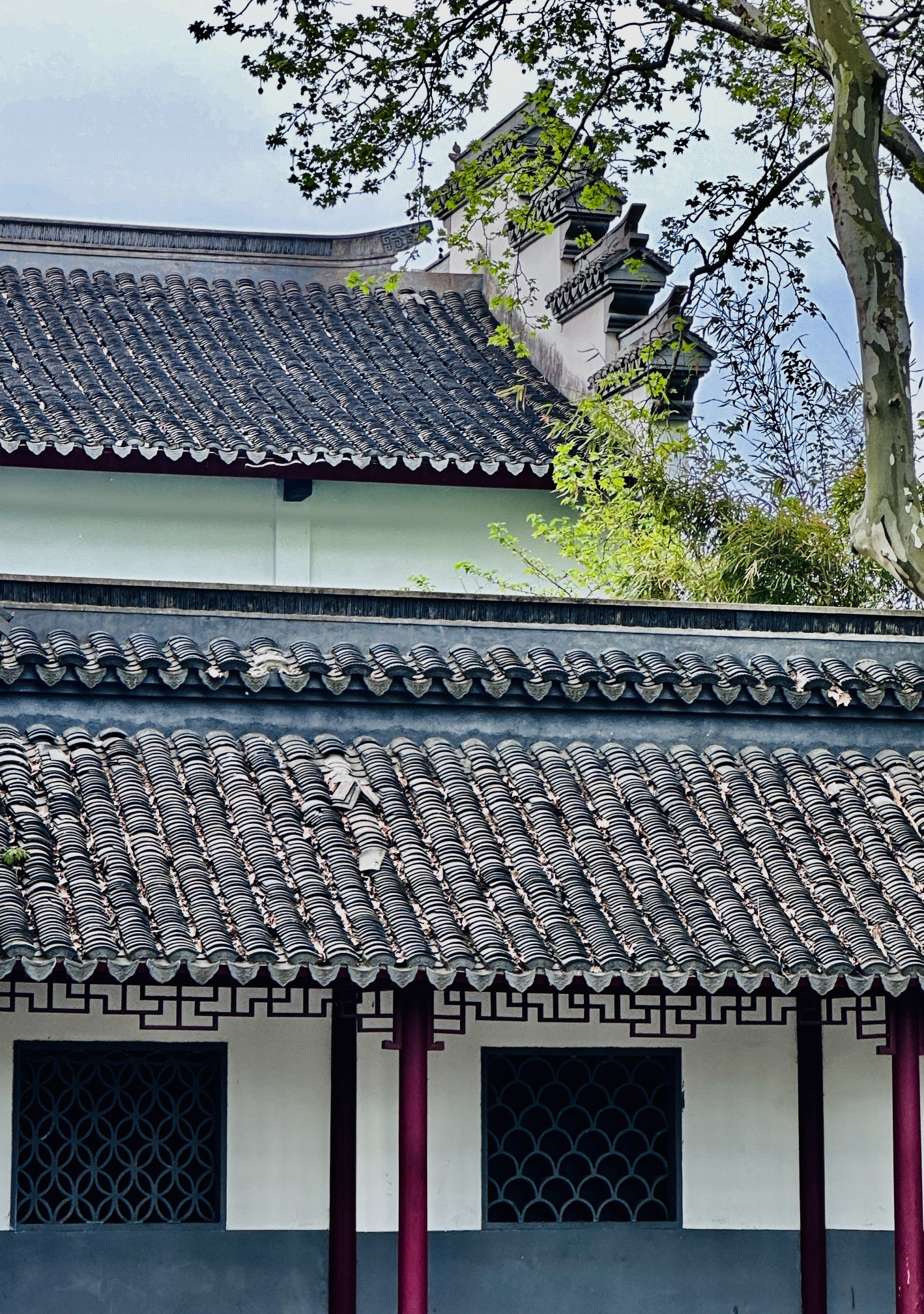 上海鲁迅公园旅行图片 1