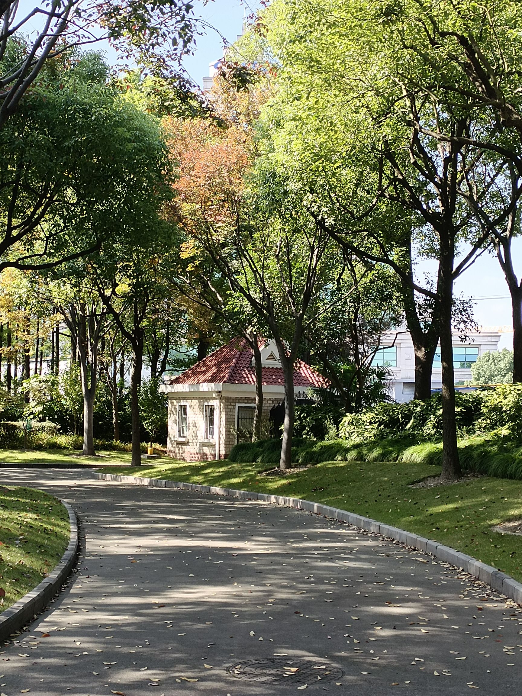 未来岛公园旅行图片 3