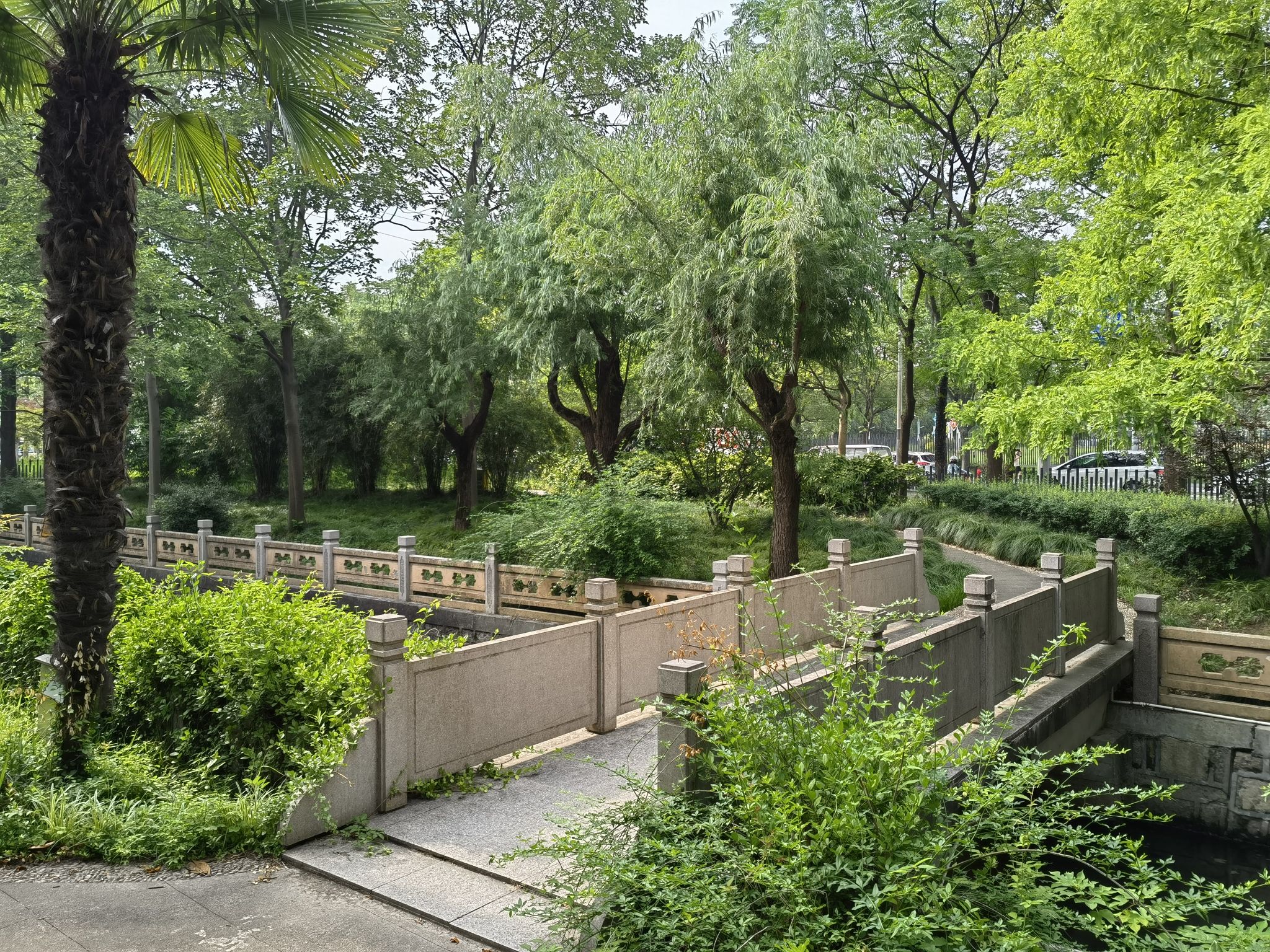 未来岛公园旅行图片 3