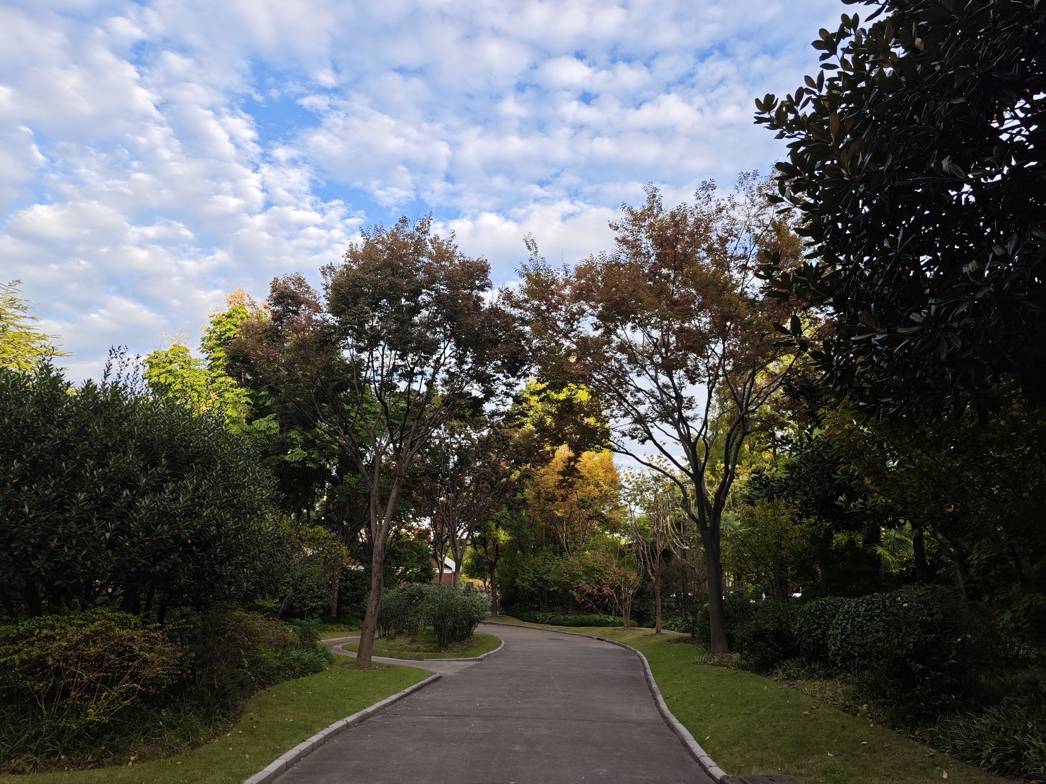 未来岛公园旅行图片 3