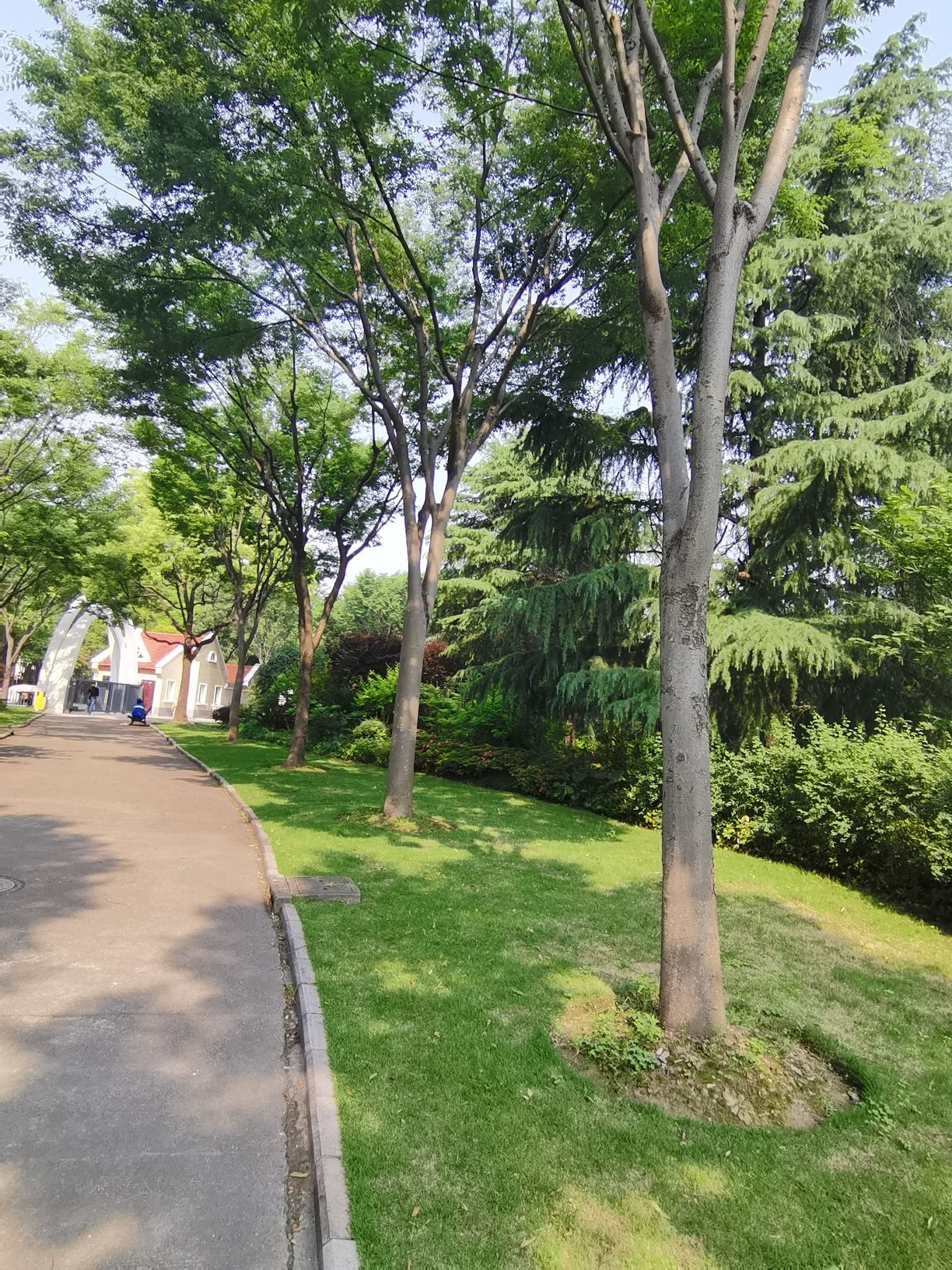 未来岛公园旅行图片 2