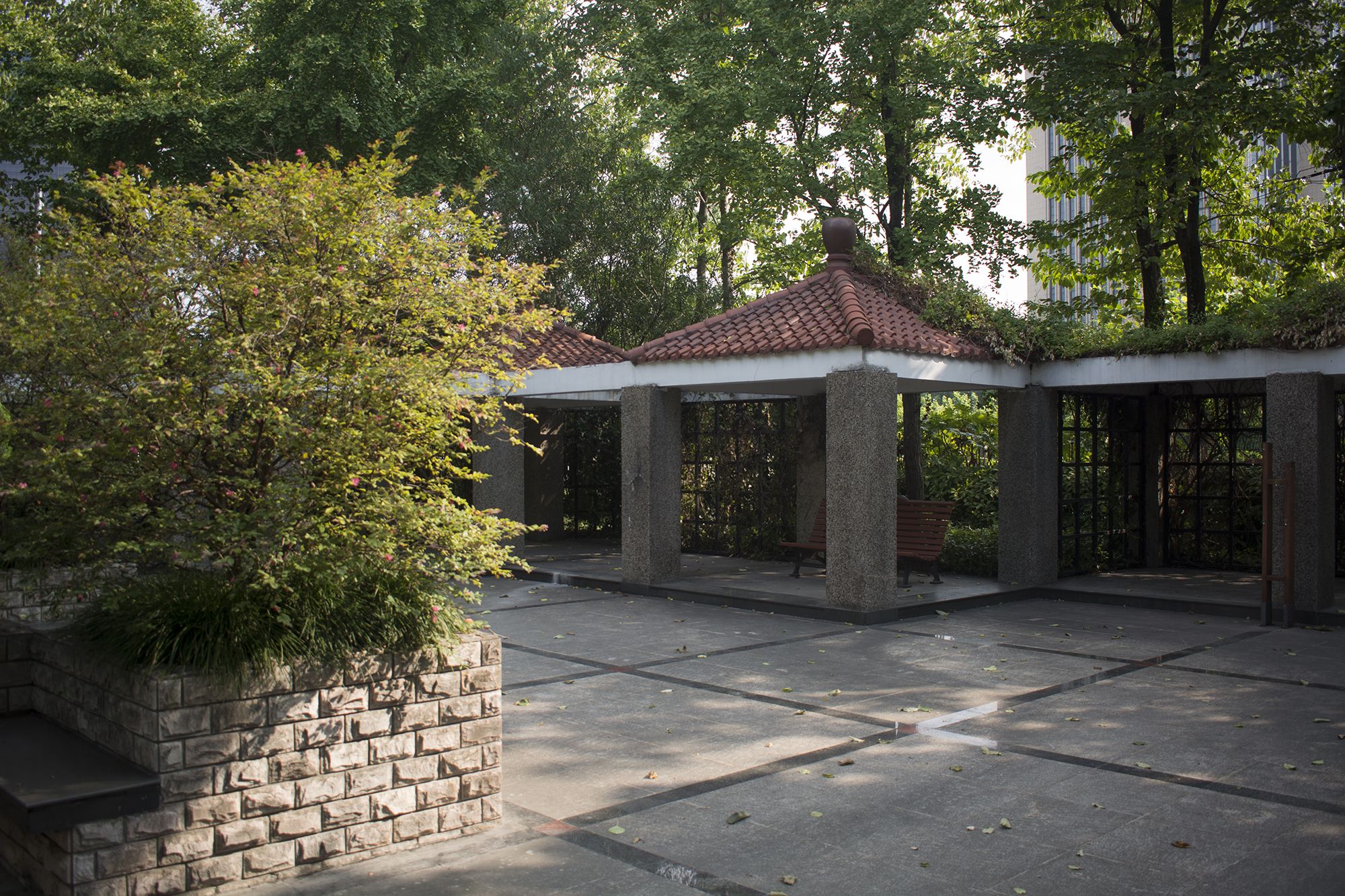 未来岛公园旅行图片 2