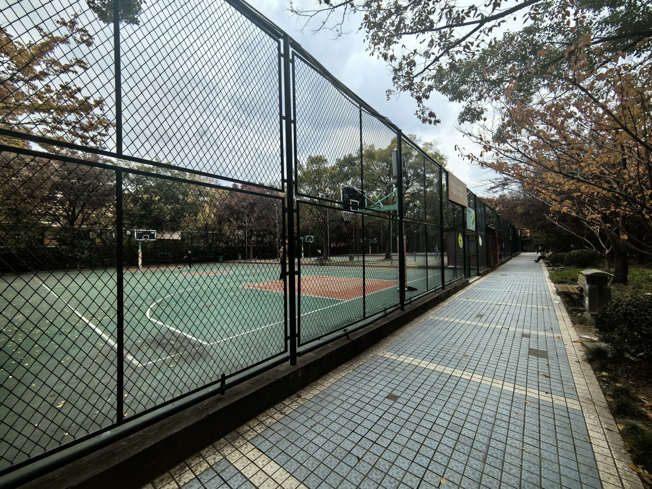 泗塘篮球公园旅行图片 3