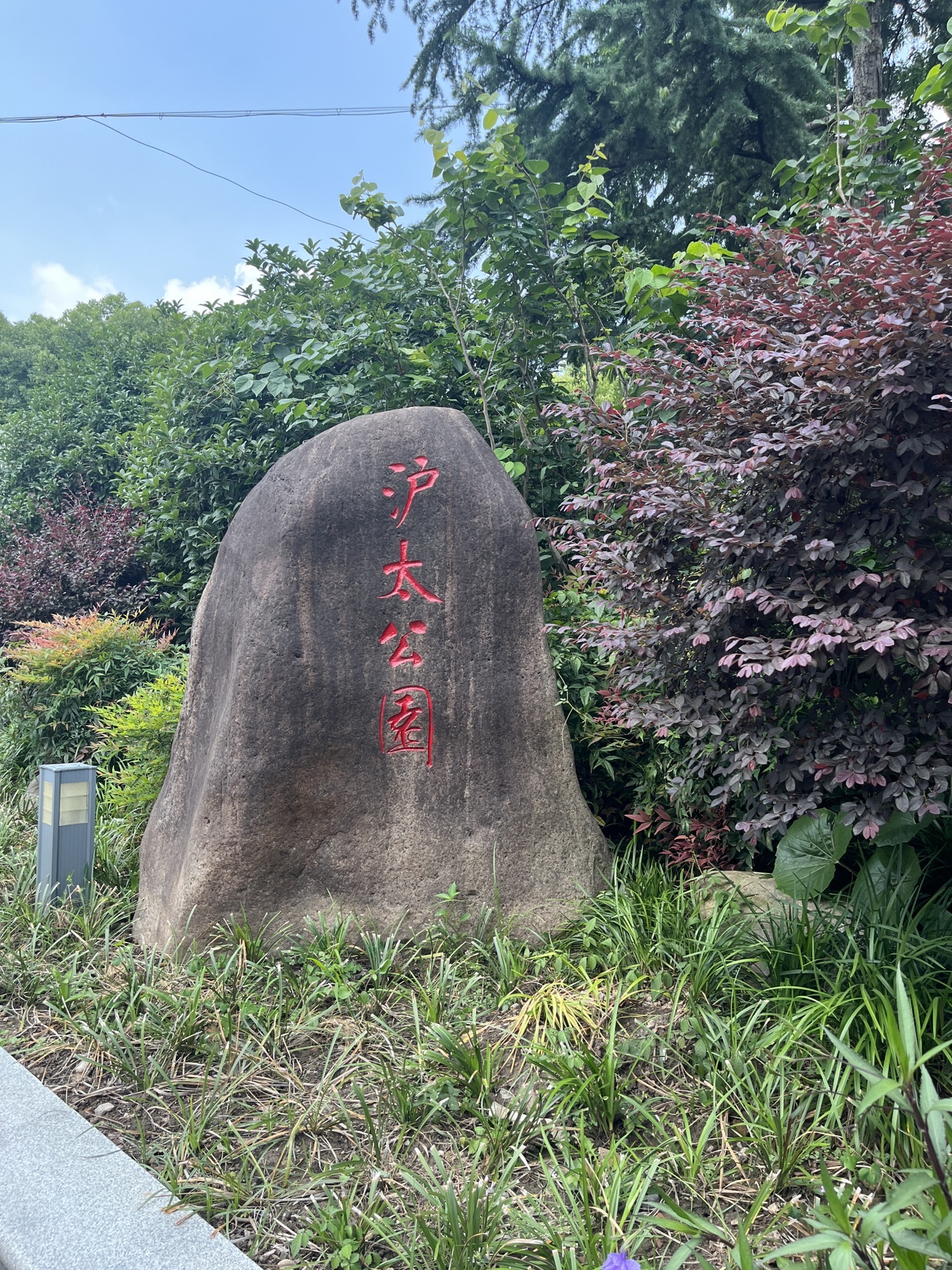 沪太公园旅行图片 1