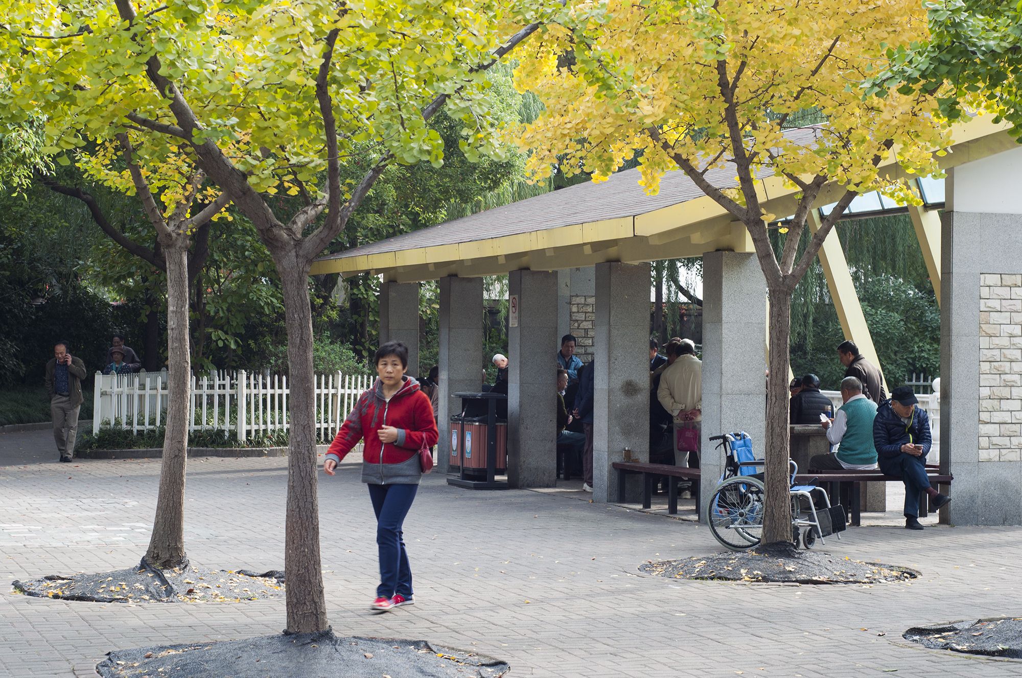 沪太公园旅行图片 2