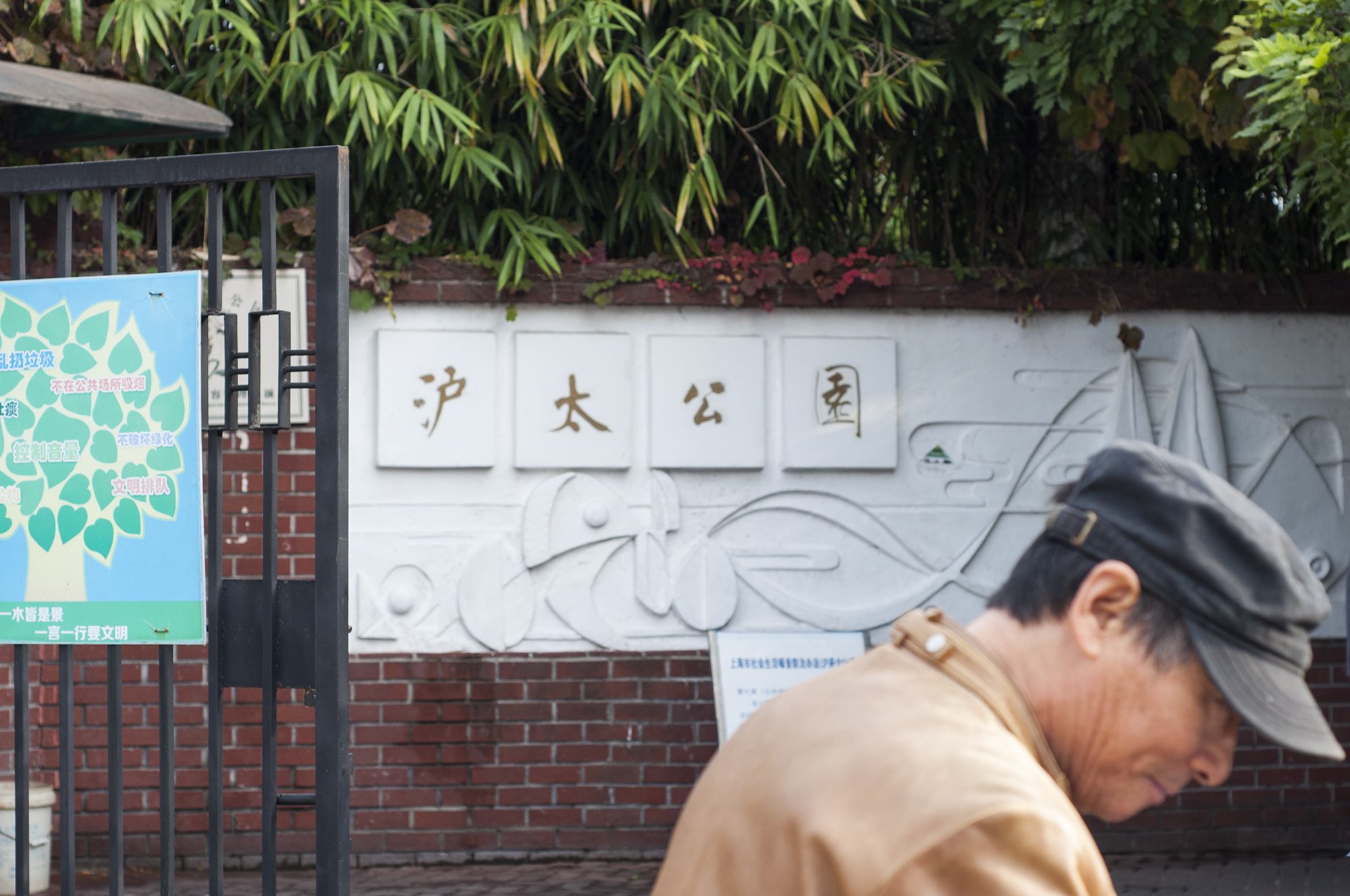 沪太公园旅行图片 3