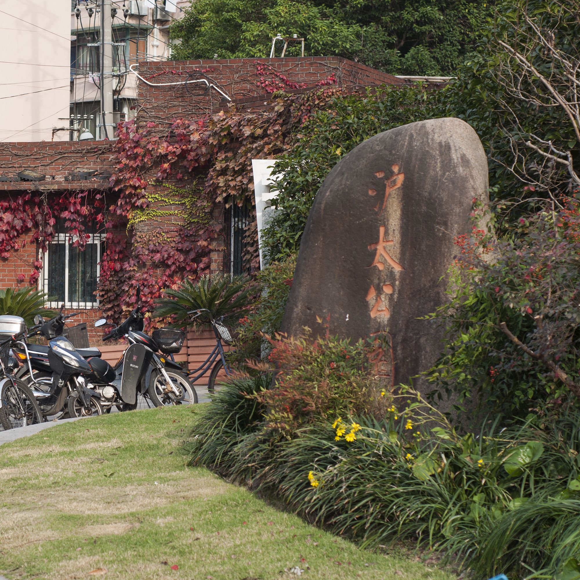 沪太公园旅行图片 1