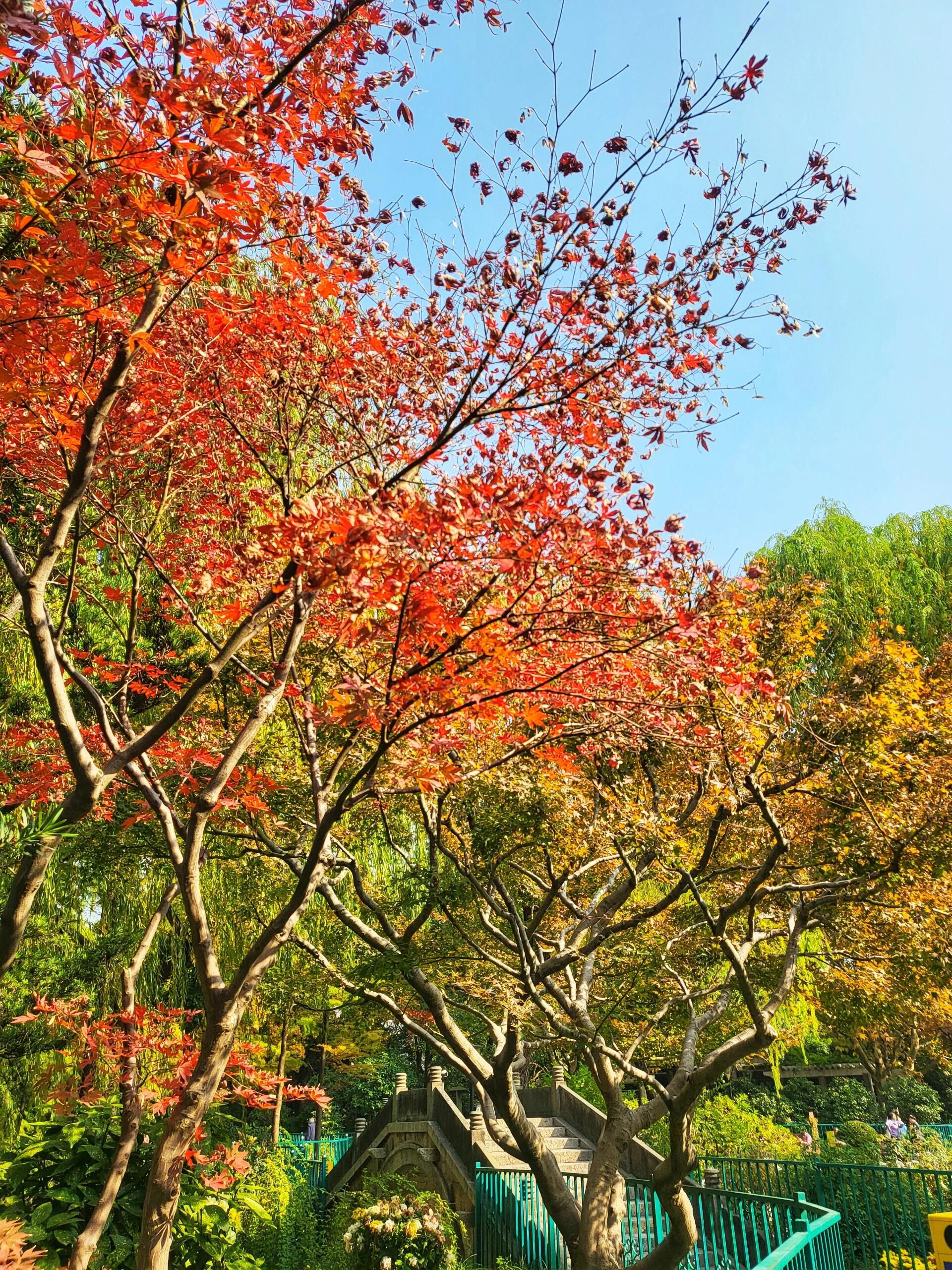 宜川公园旅行图片 3
