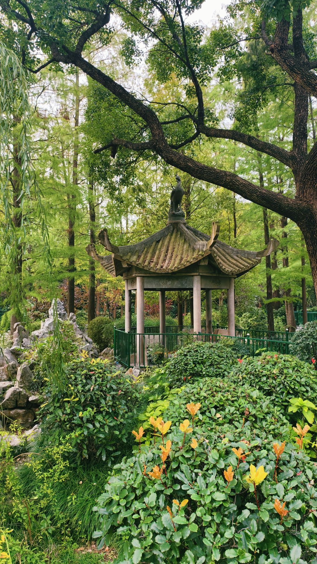 宜川公园旅行图片 3