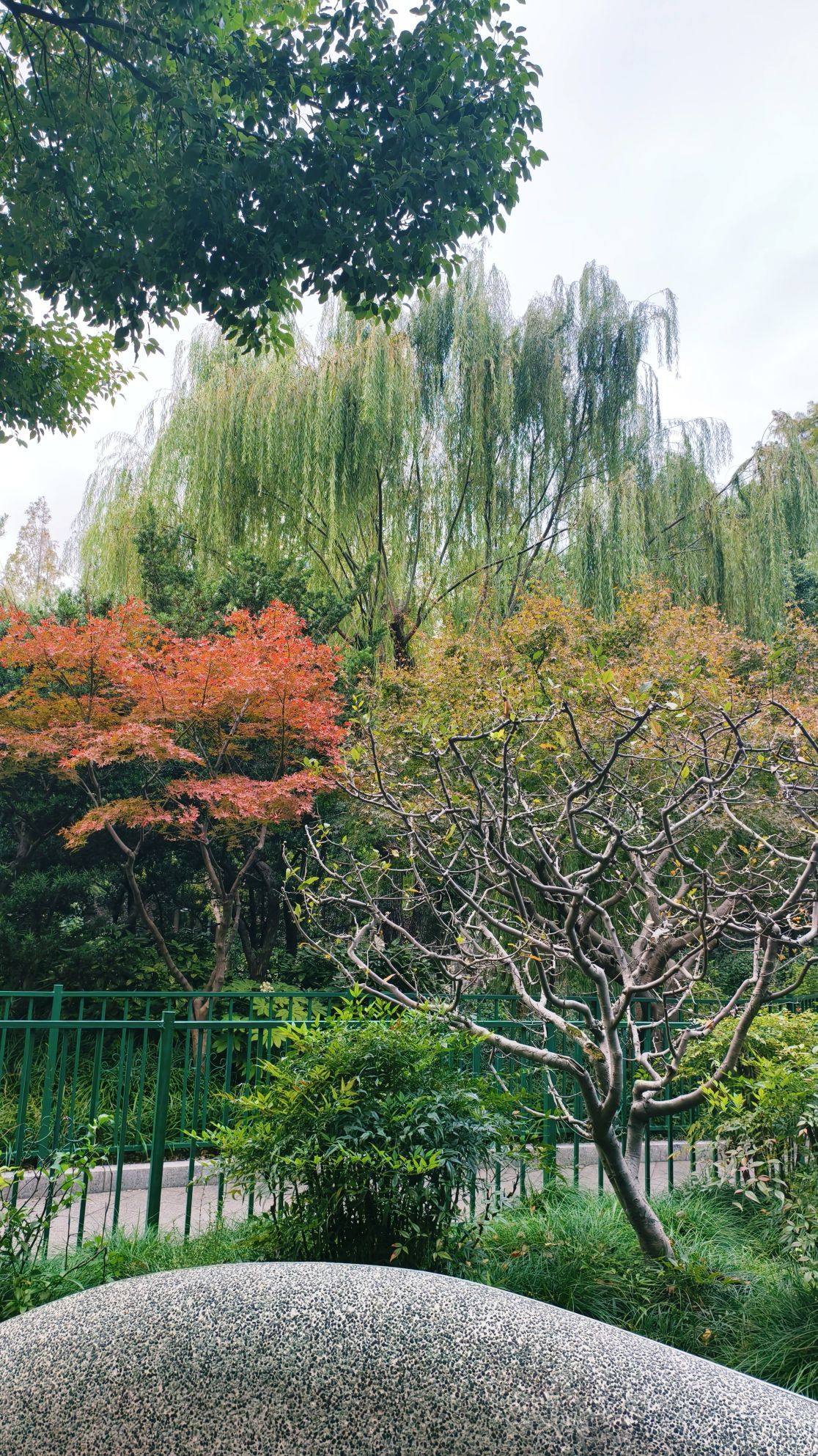 宜川公园旅行图片 1