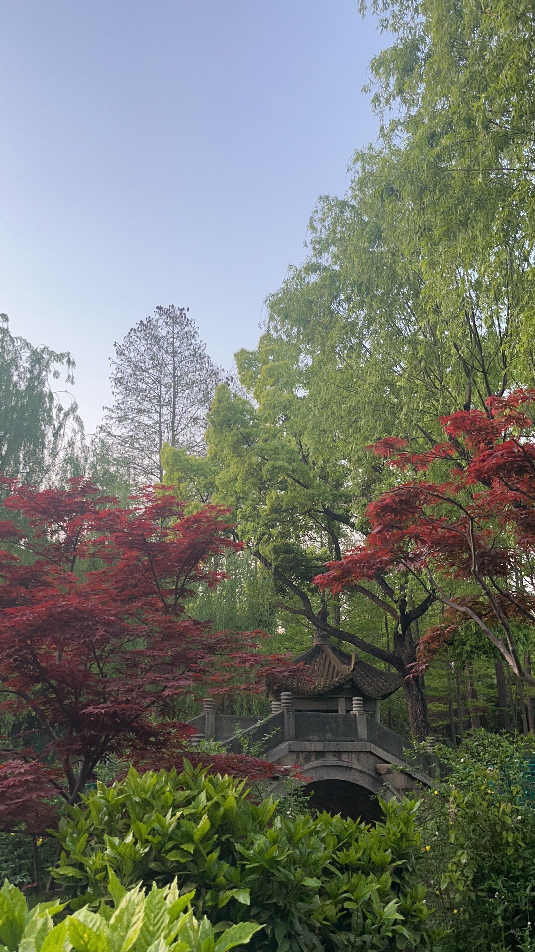 宜川公园旅行图片 2