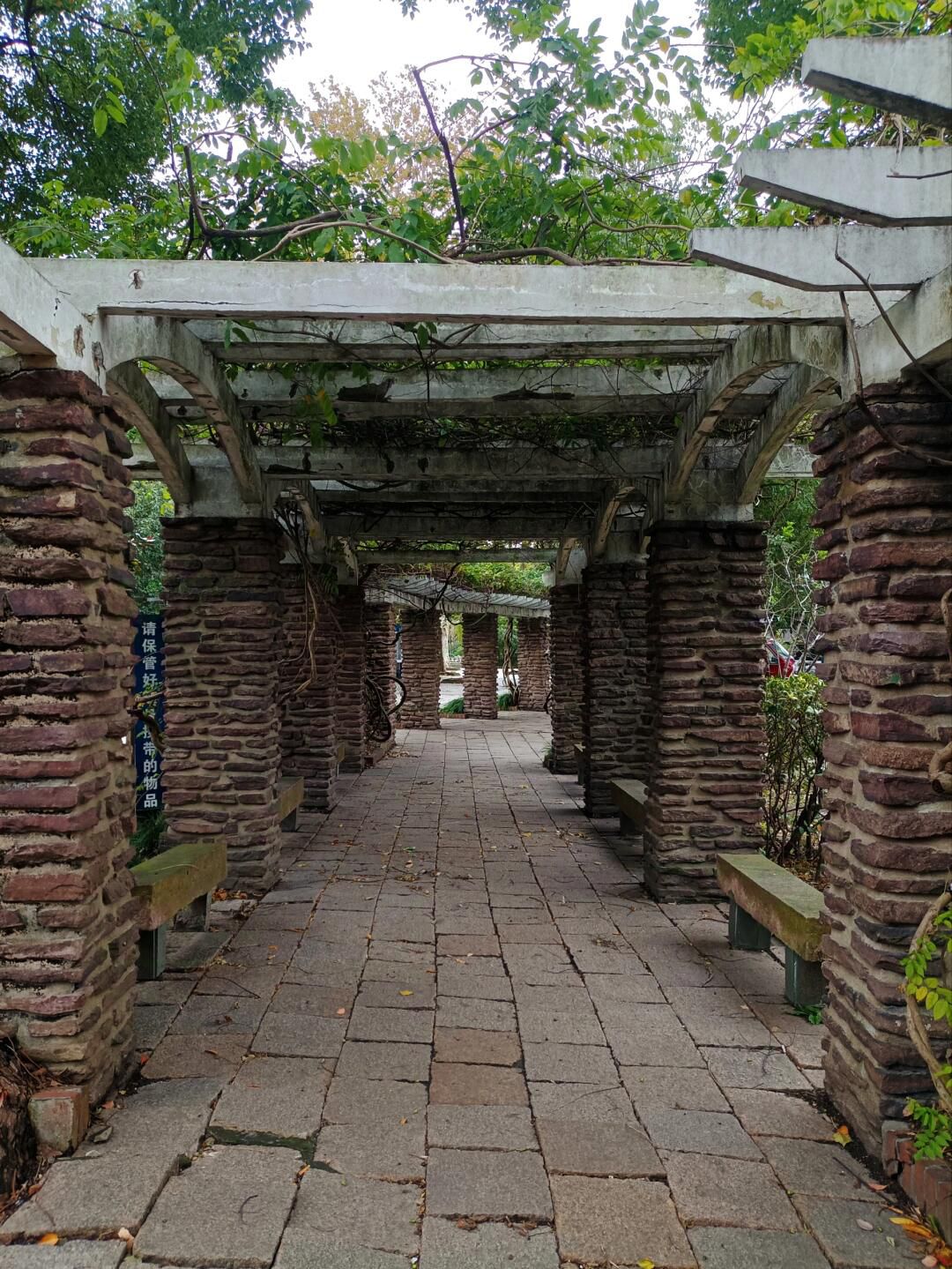 杨浦公园旅行图片 1