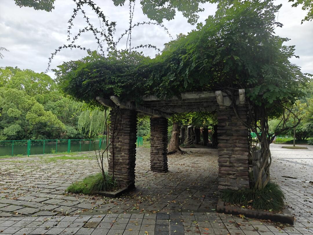 杨浦公园旅行图片 2
