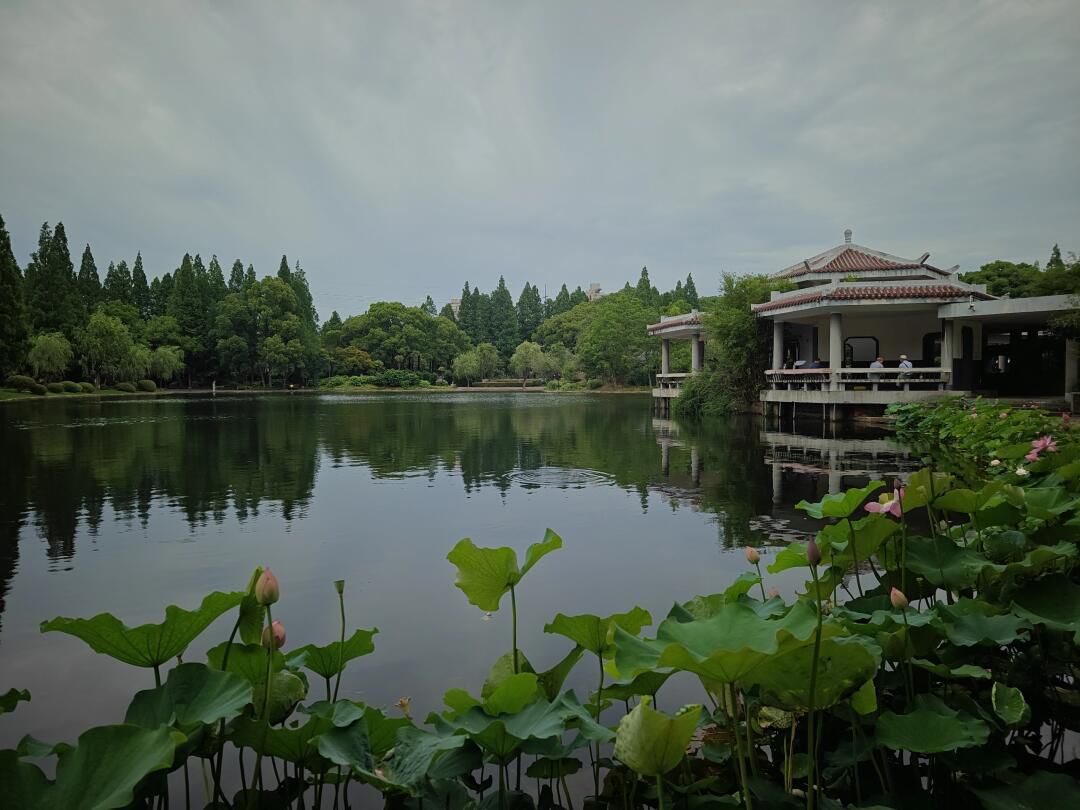 杨浦公园旅行图片 3