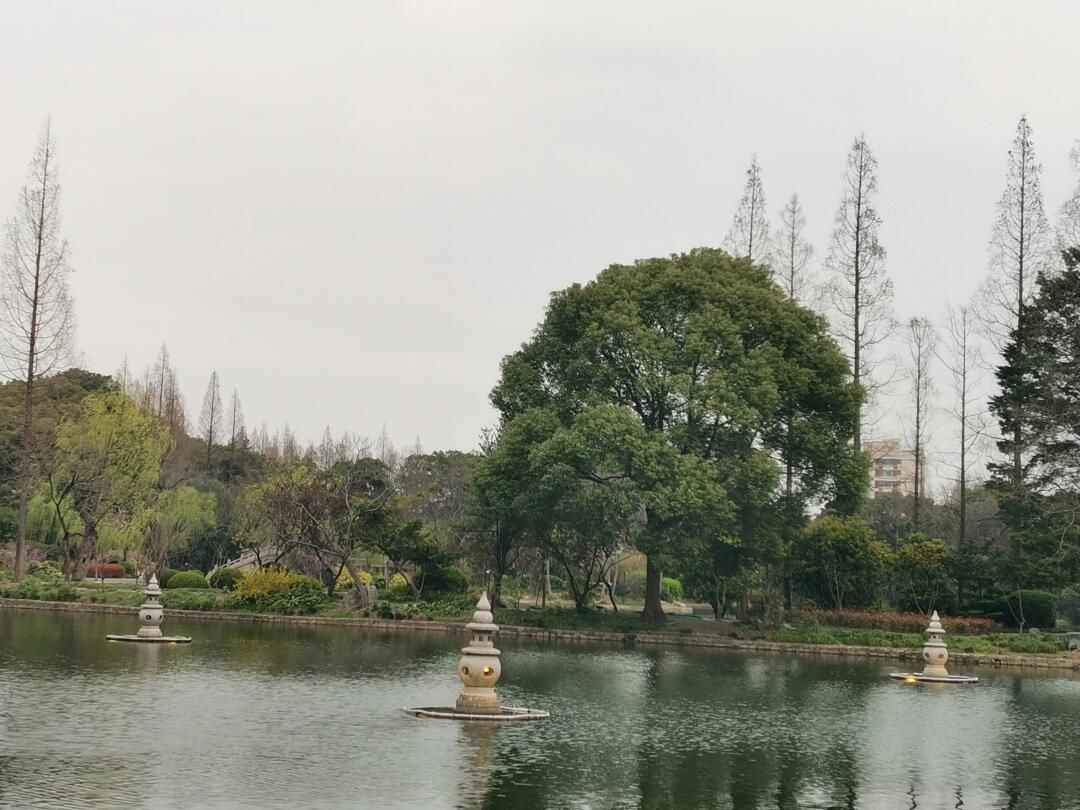 杨浦公园旅行图片 2