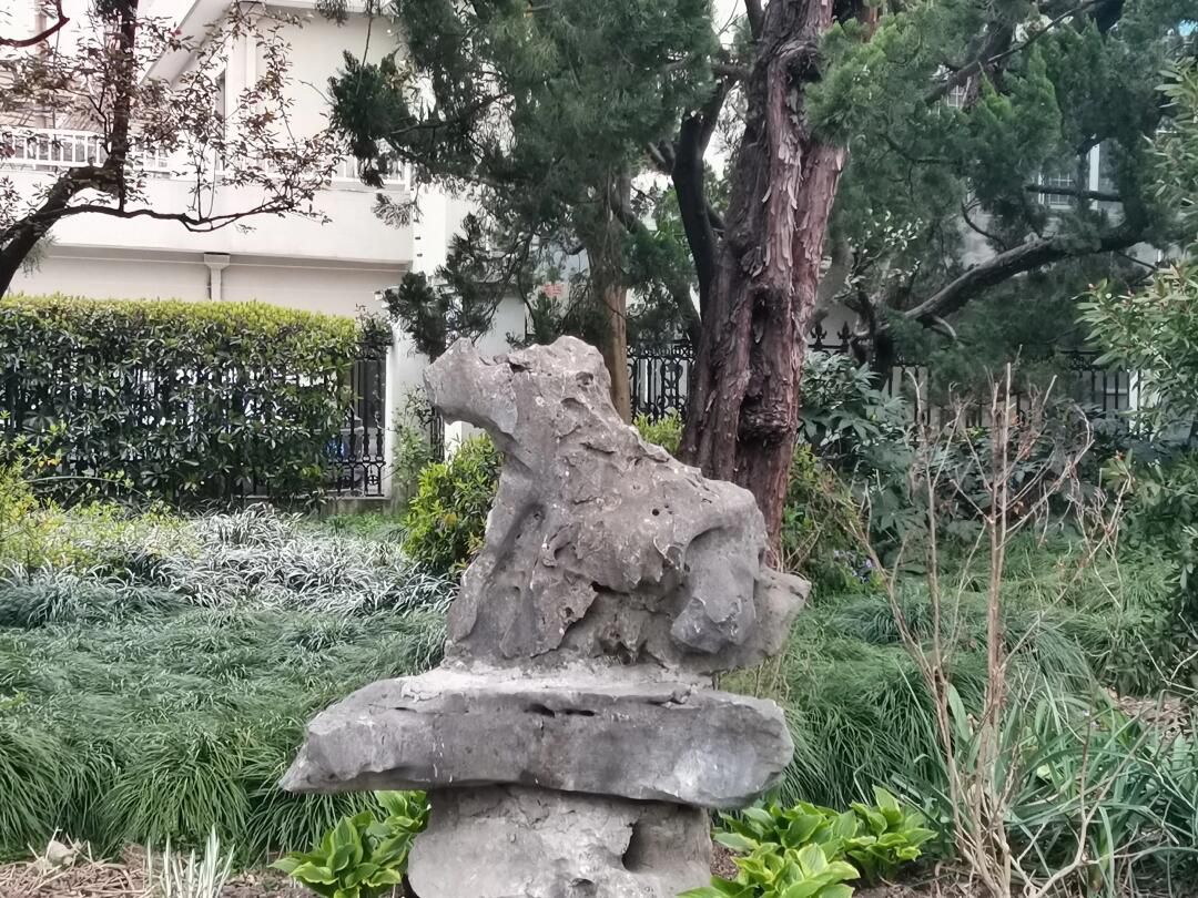 杨浦公园旅行图片 3