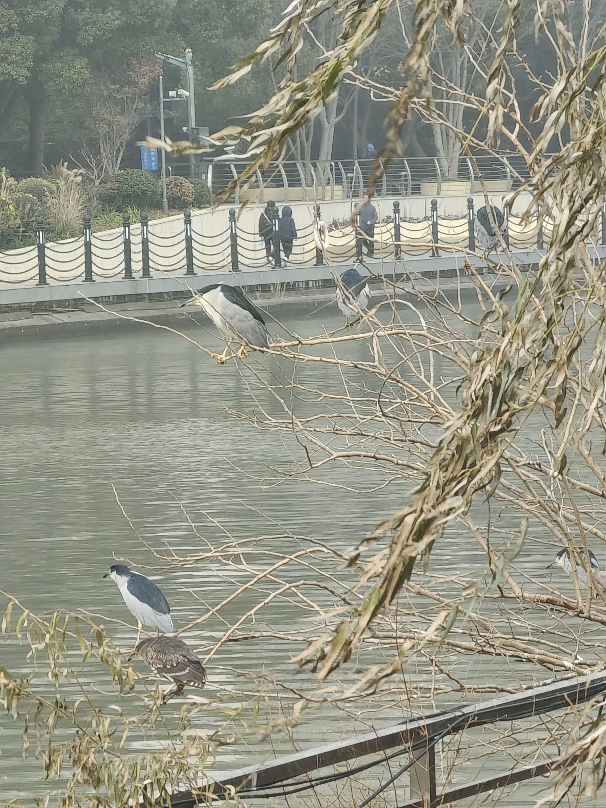 苏州河梦清园环保主题公园旅行图片 3