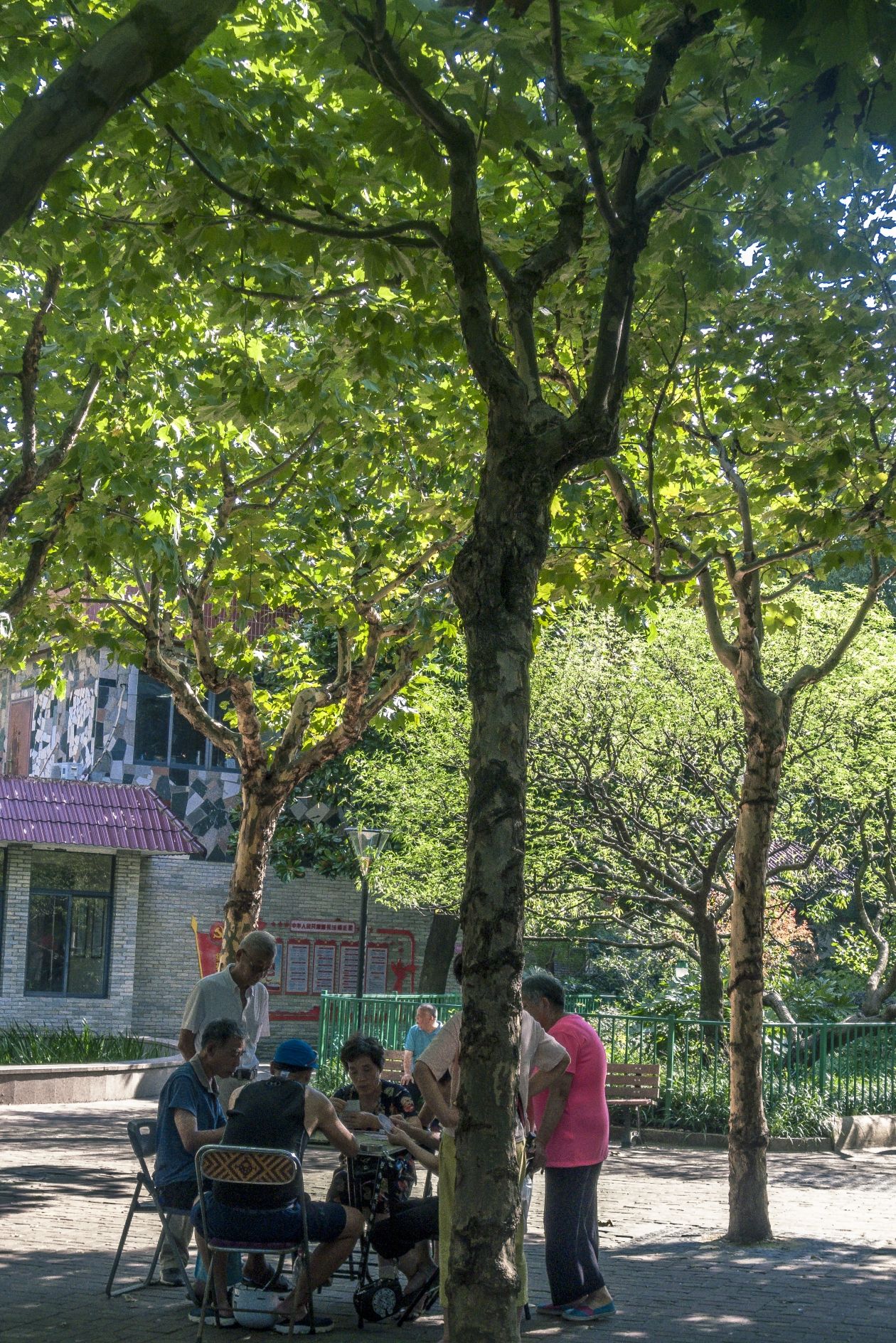 管弄公园旅行图片 2