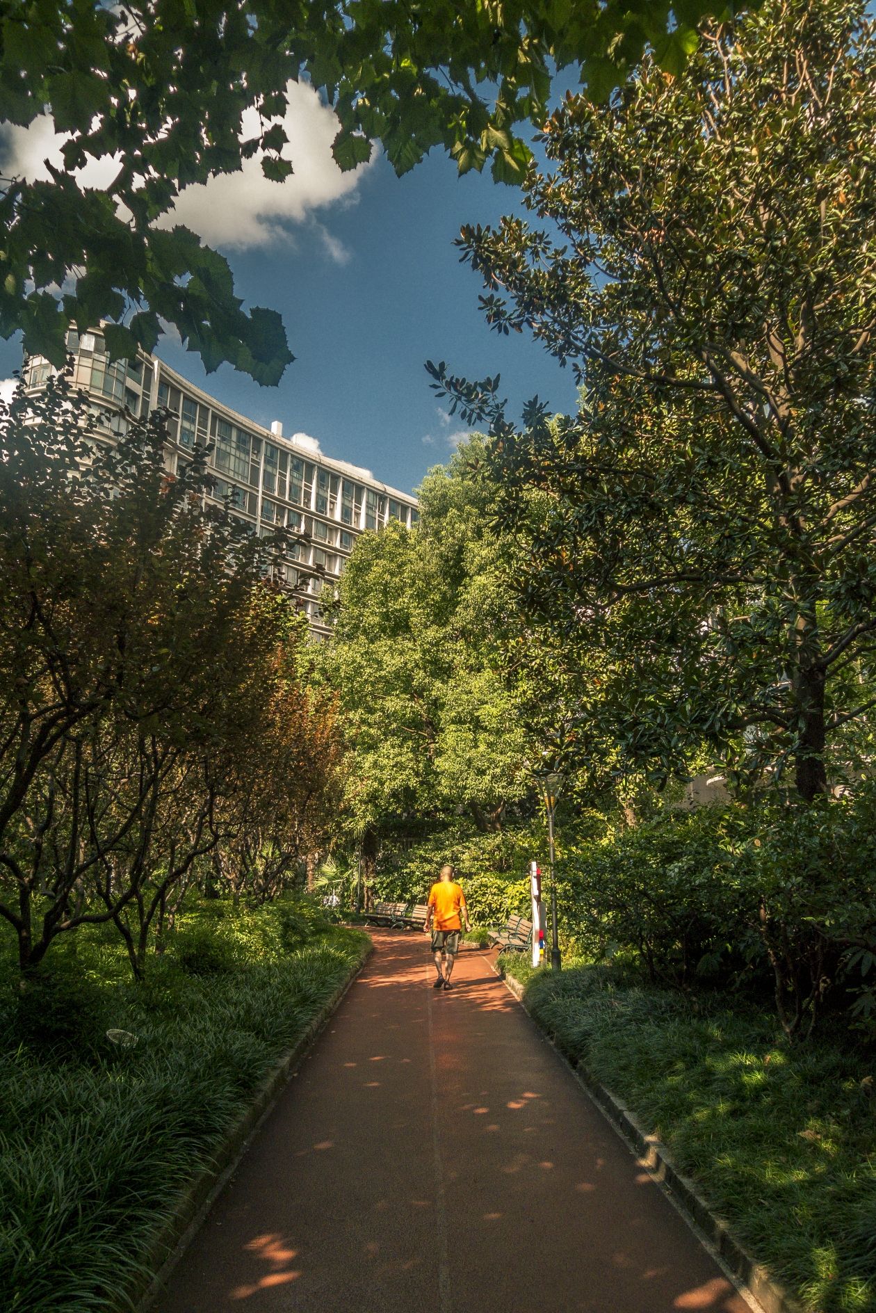 管弄公园旅行图片 1
