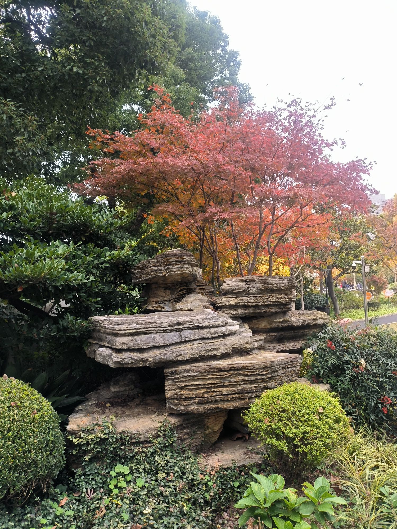 管弄公园旅行图片 1