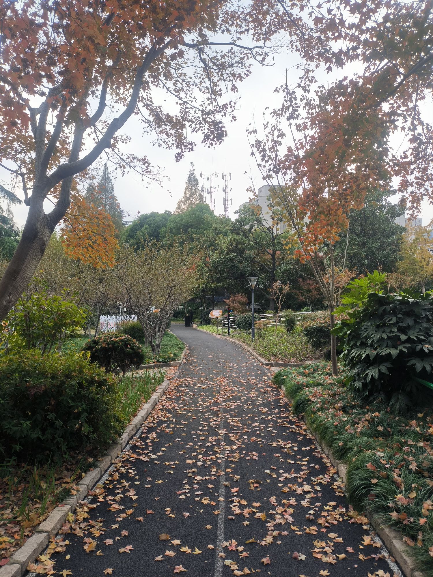 管弄公园旅行图片 3