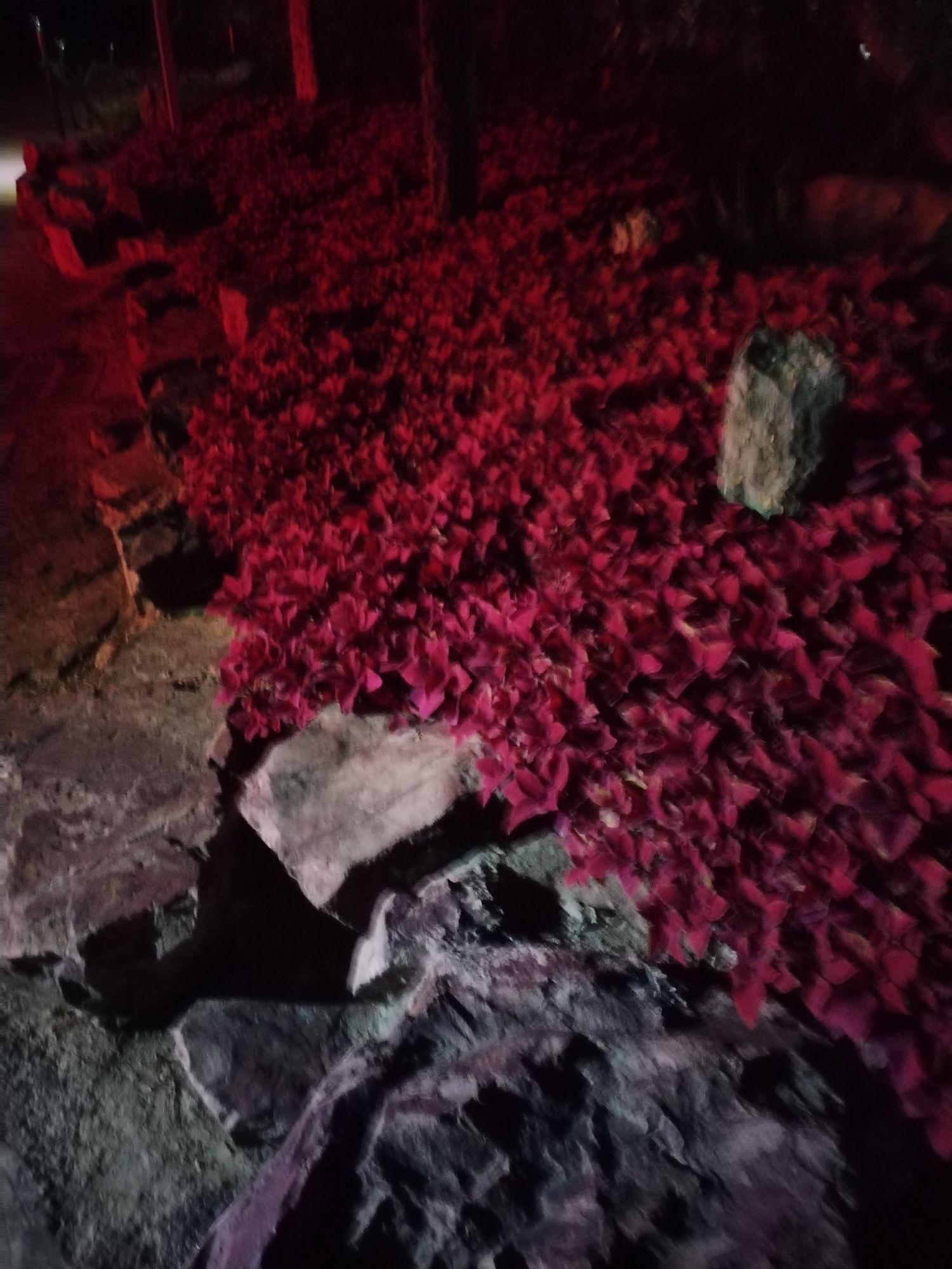 工农公园旅行图片 1