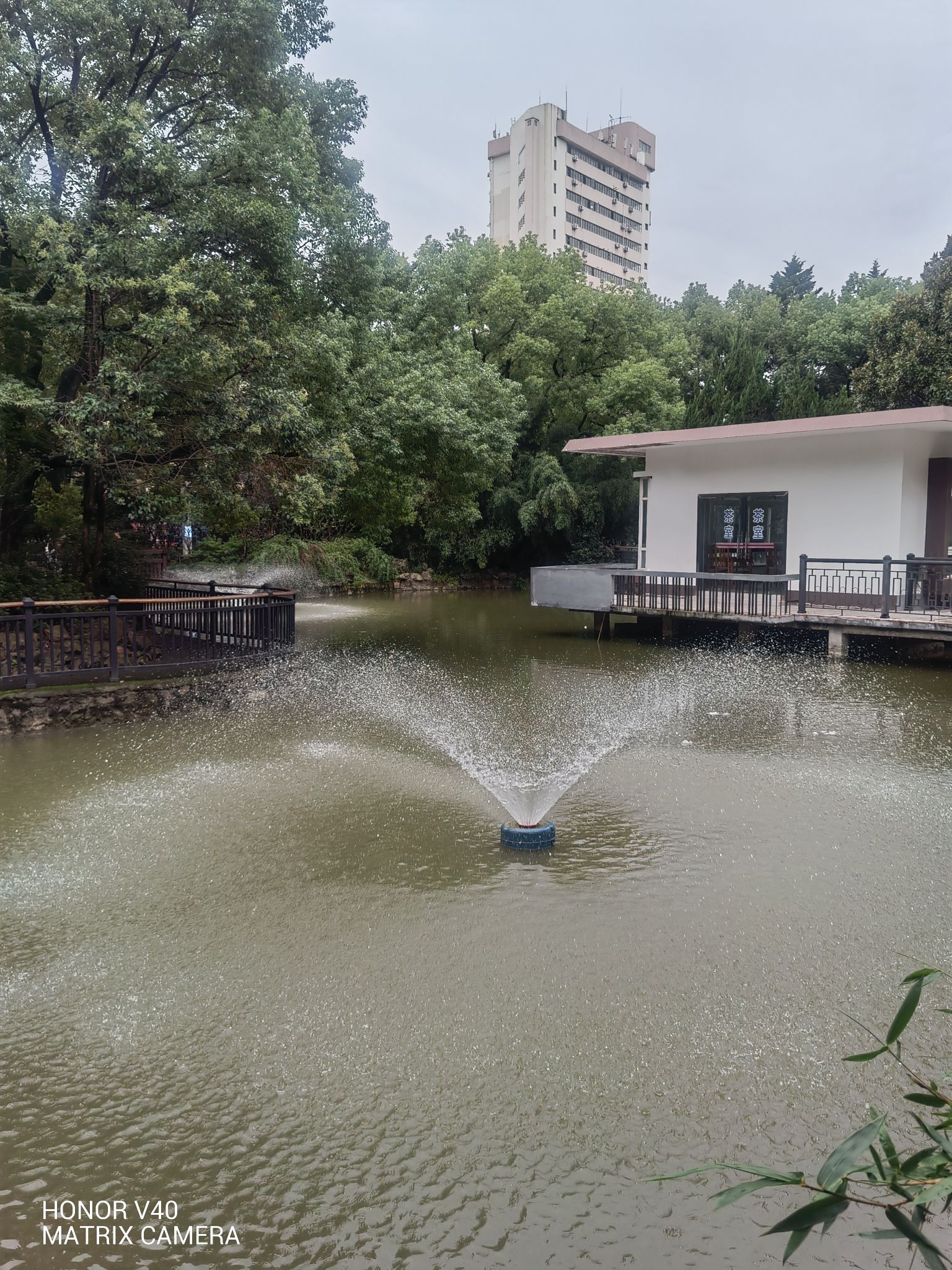松鹤公园旅行图片 2