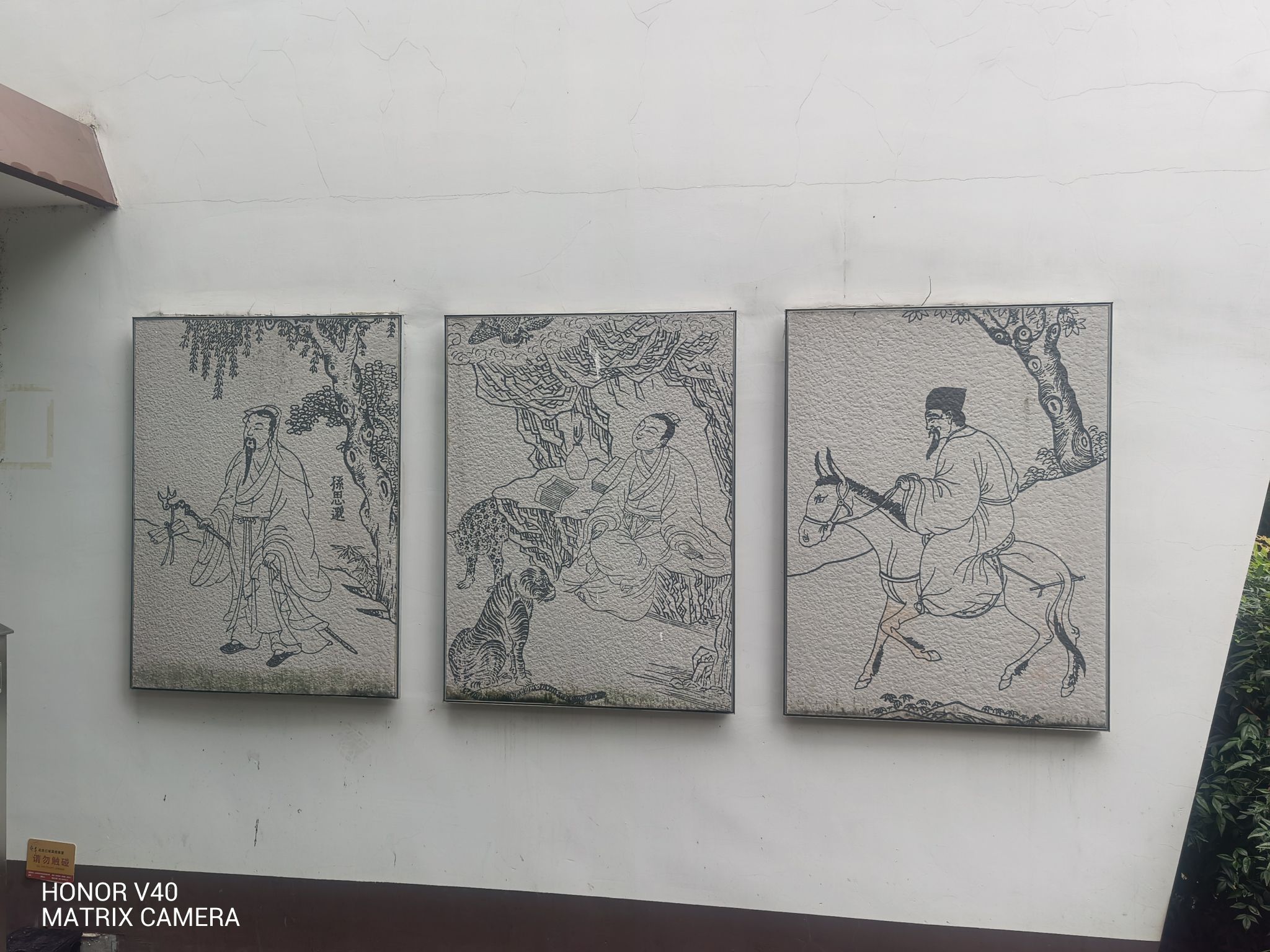 松鹤公园旅行图片 3