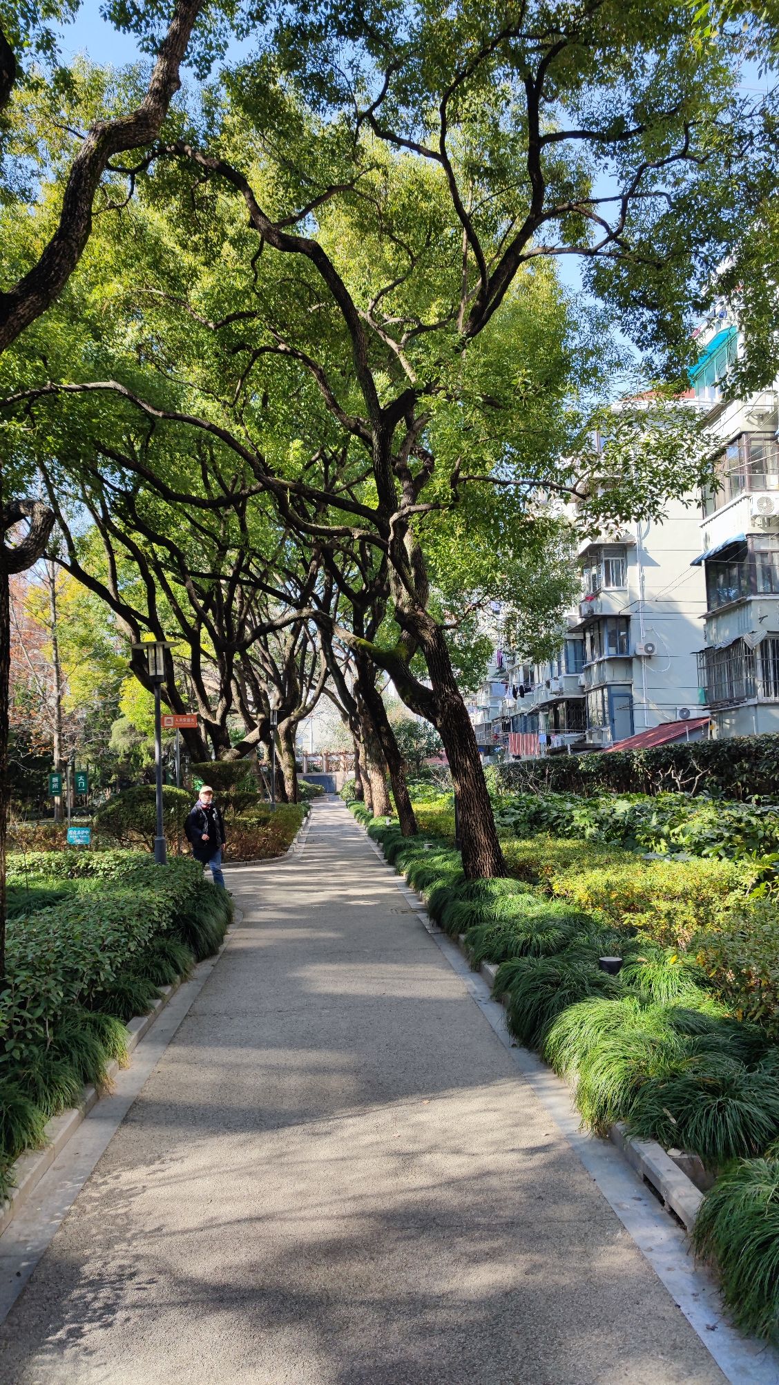 天原公园旅行图片 2