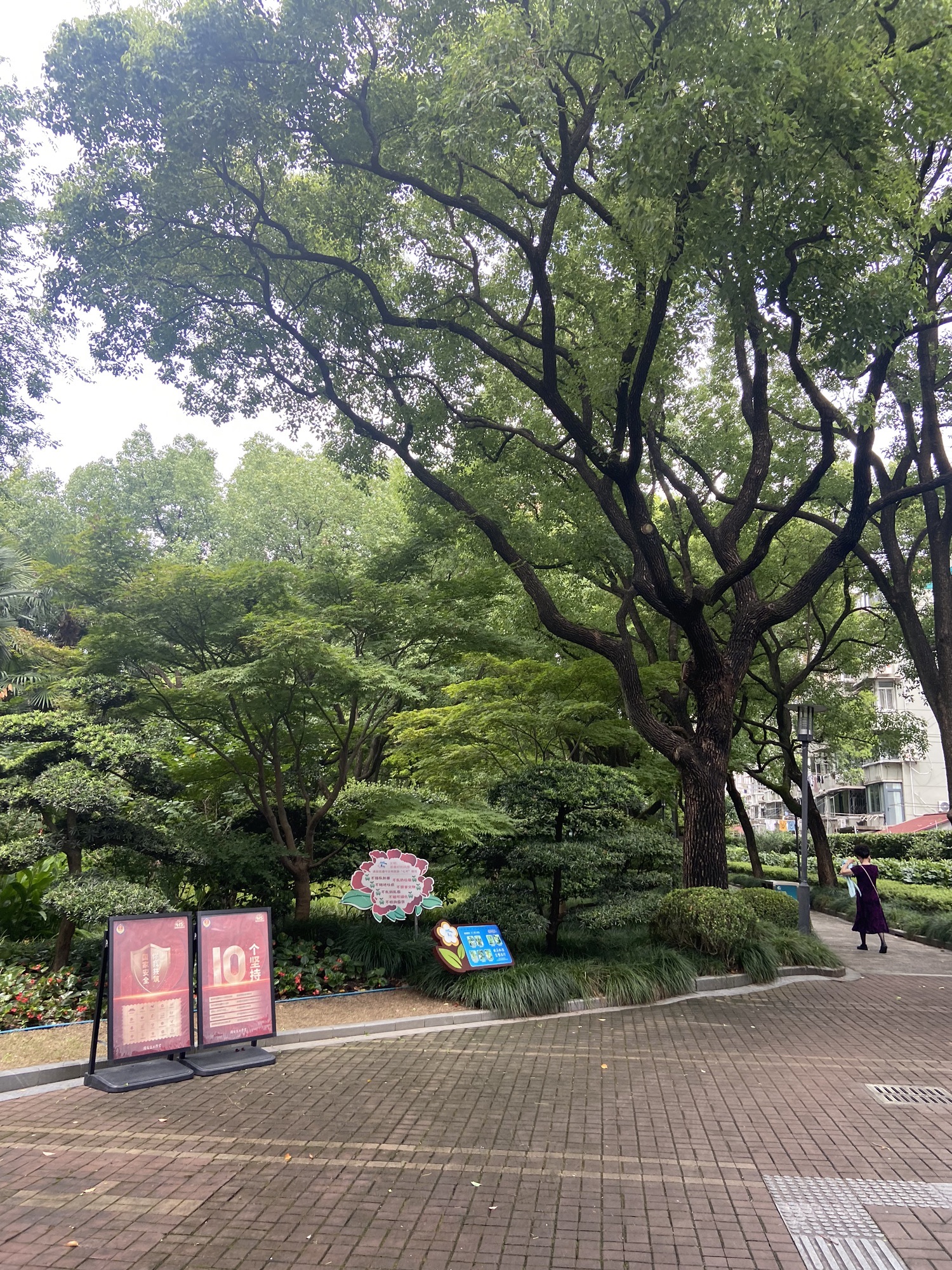 天原公园旅行图片 2