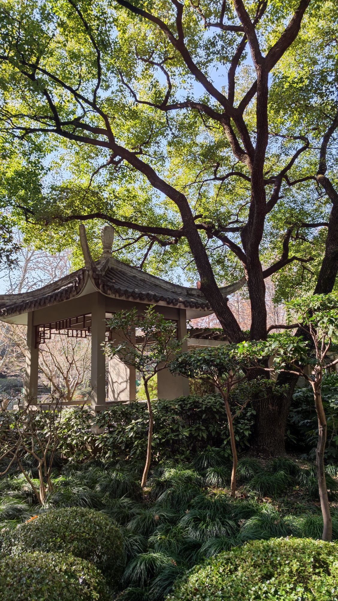 天原公园旅行图片 3