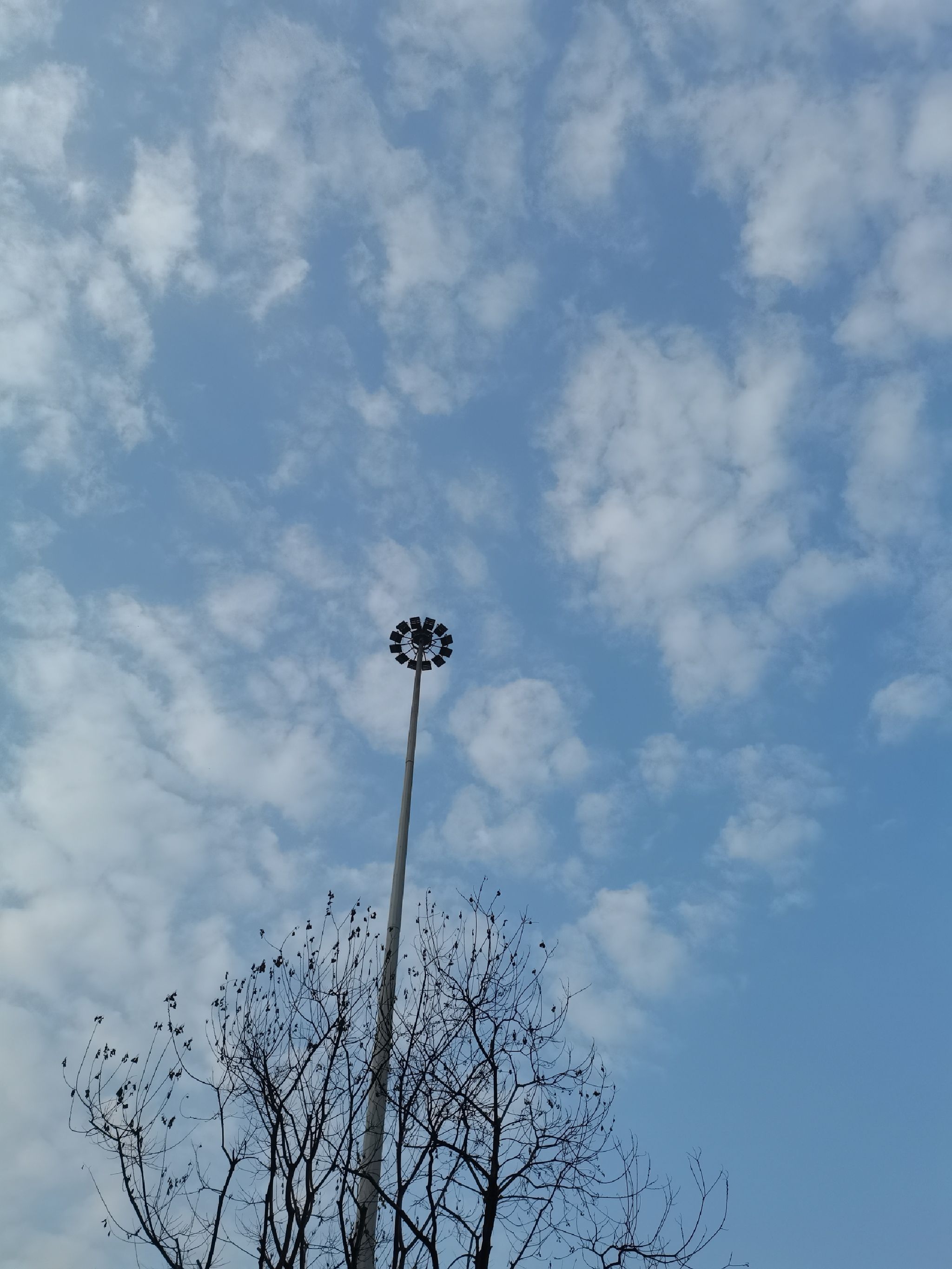 海棠公园旅行图片 1