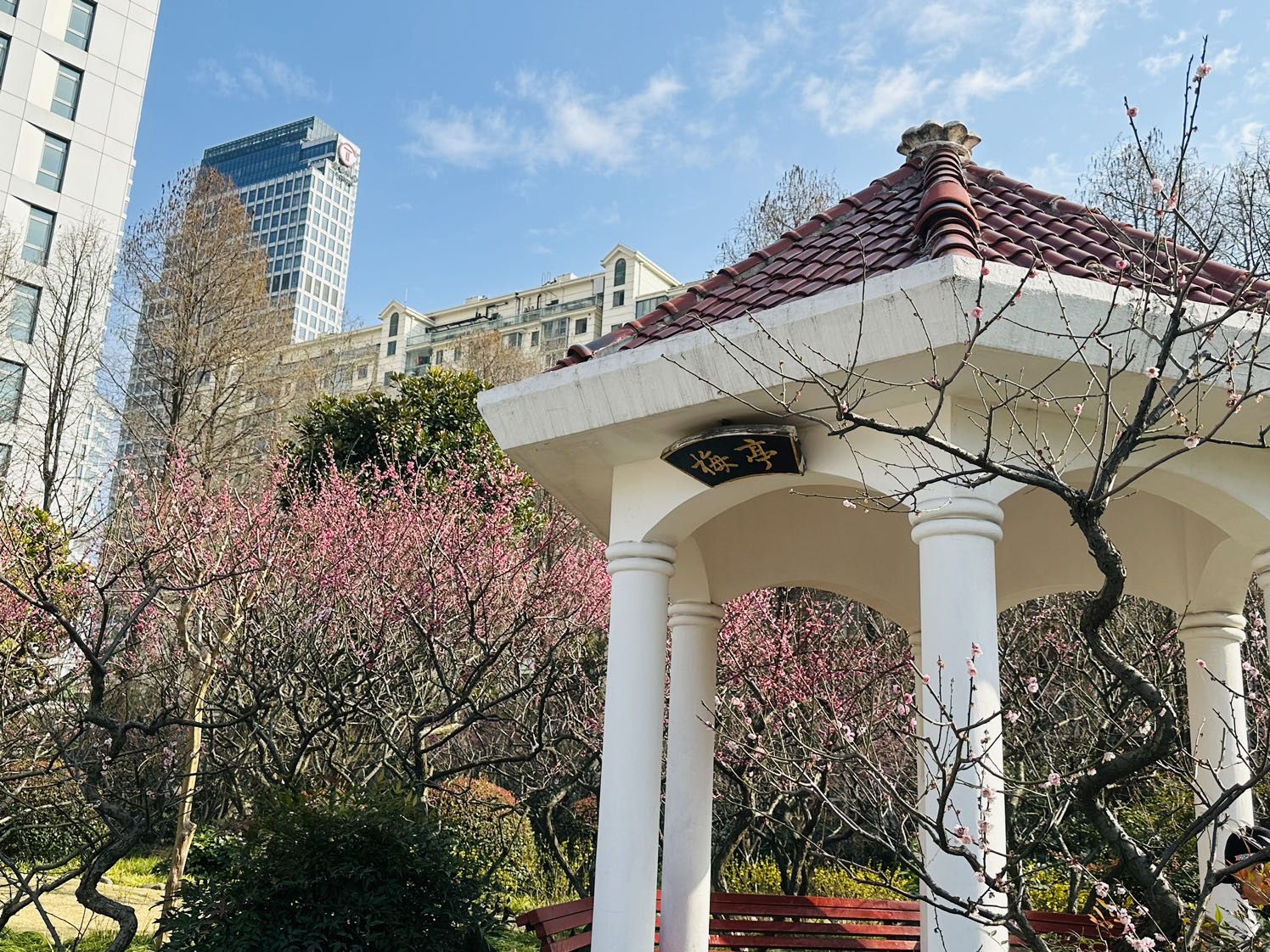 梅川公园旅行图片 3