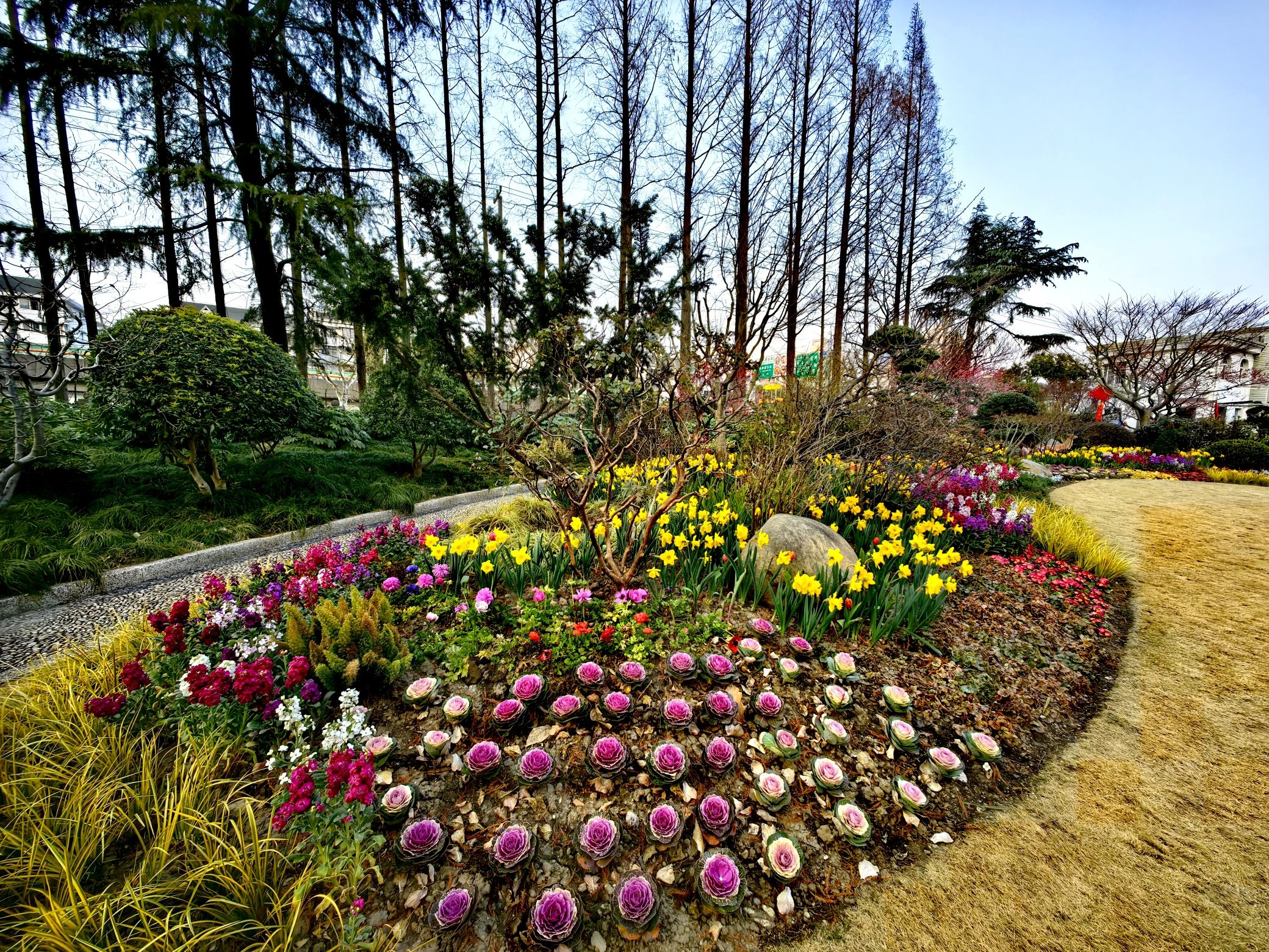 梅川公园旅行图片 2