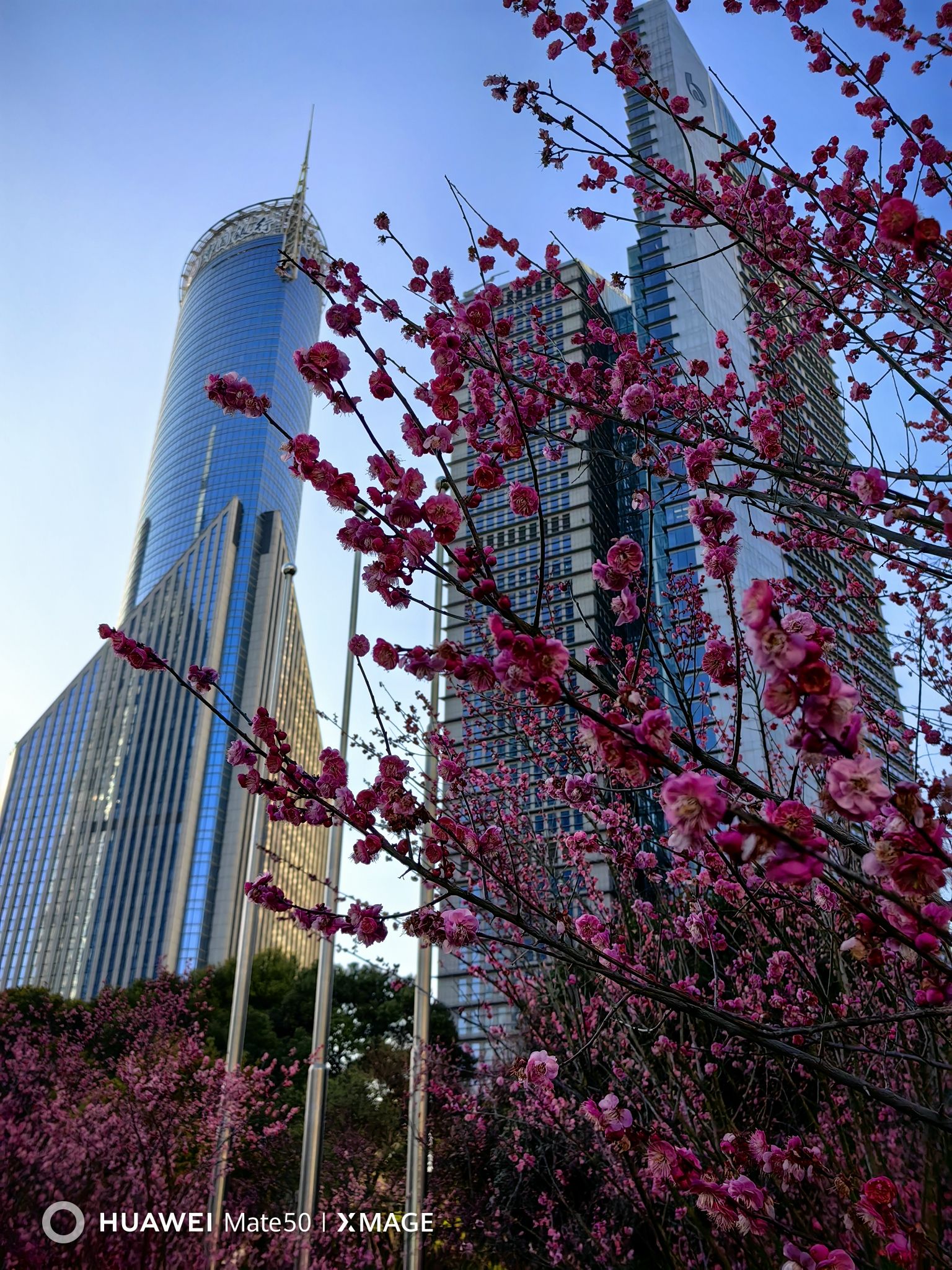 陆家嘴中心绿地旅行图片 2