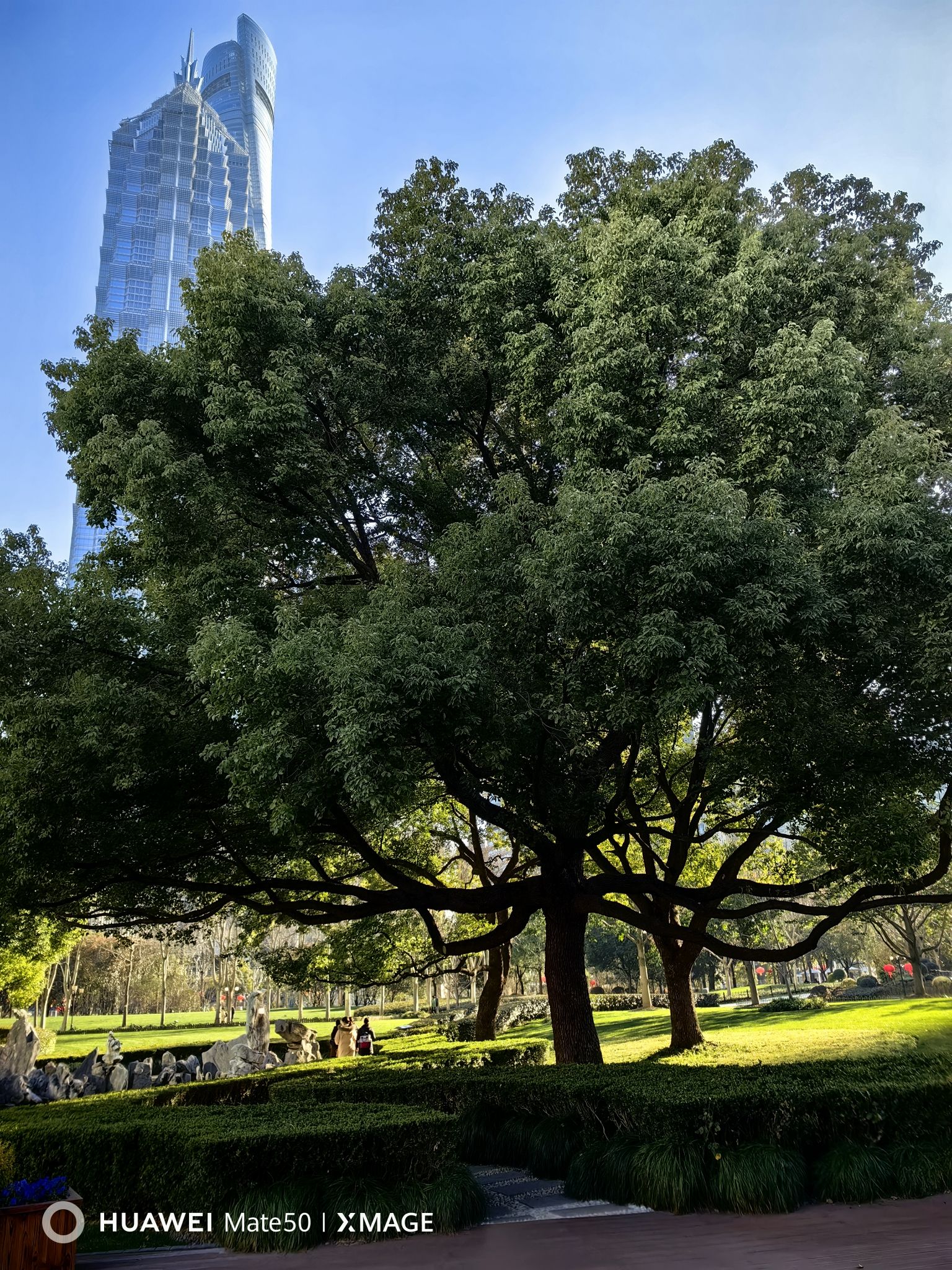 陆家嘴中心绿地旅行图片 3