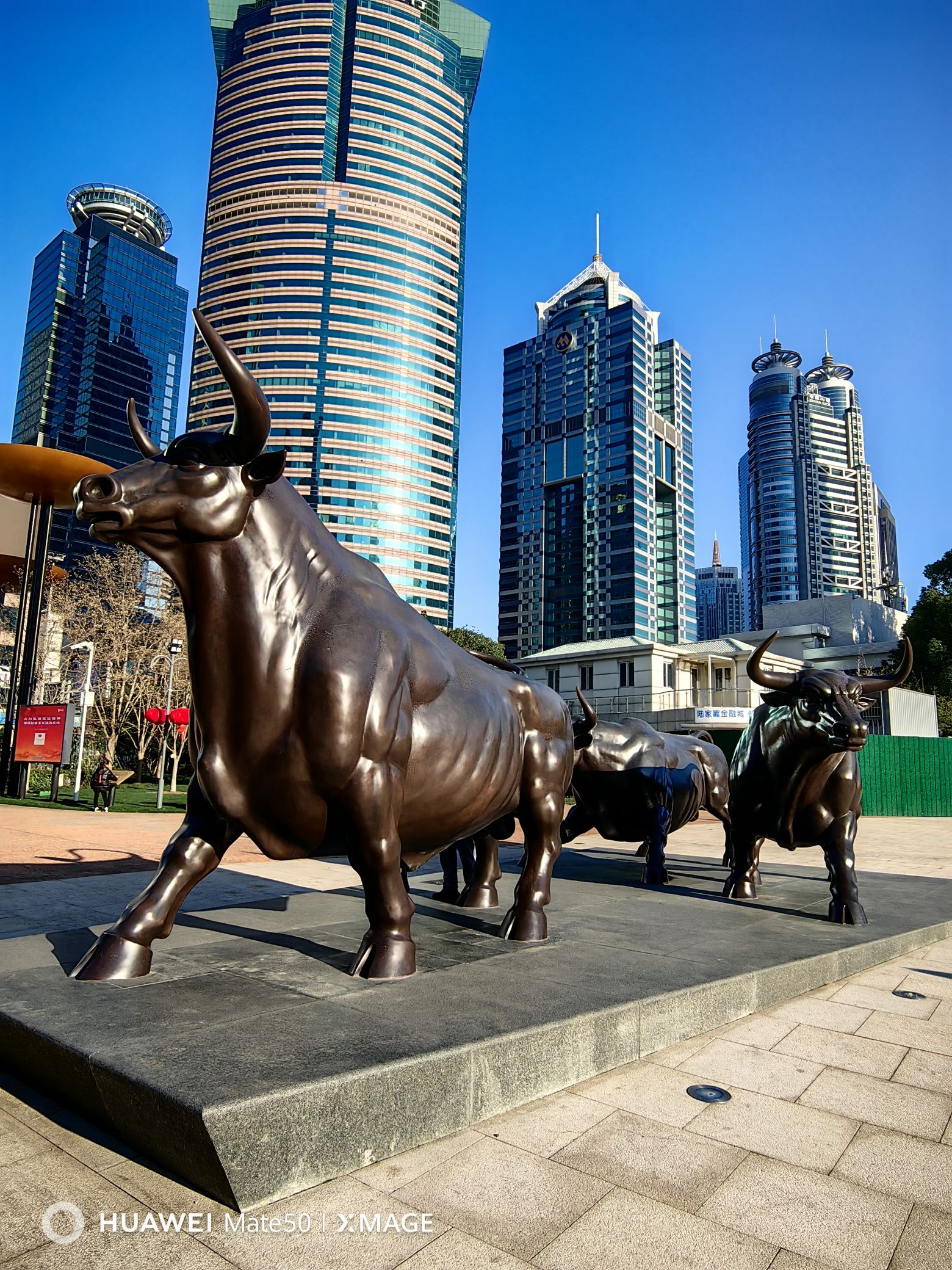 陆家嘴中心绿地旅行图片 1
