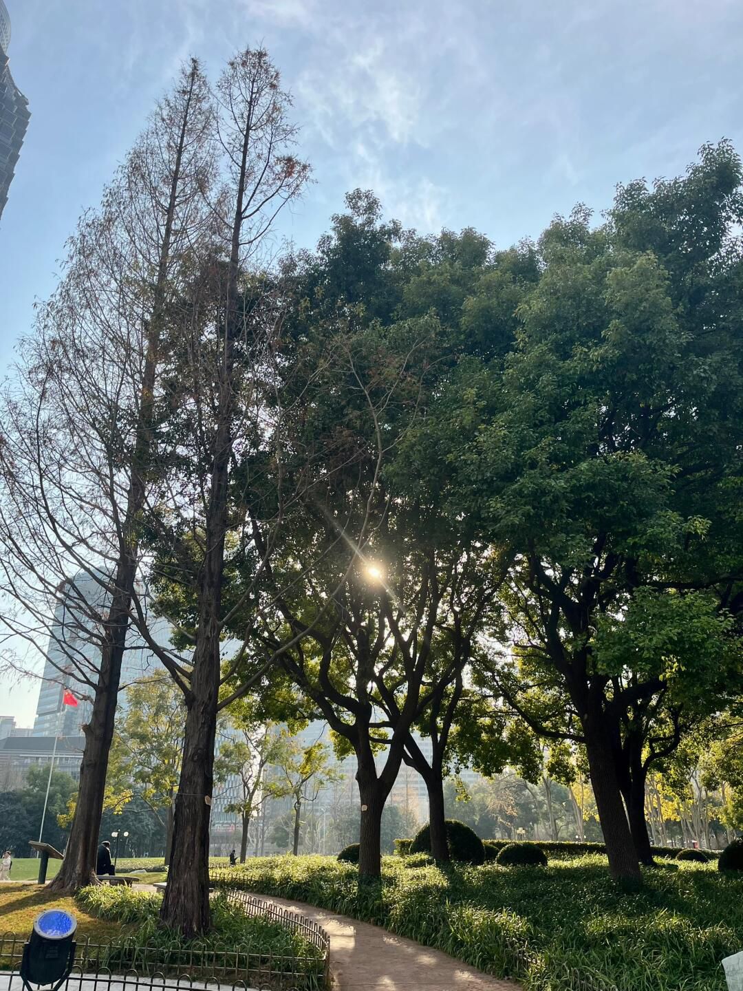 陆家嘴中心绿地旅行图片 1