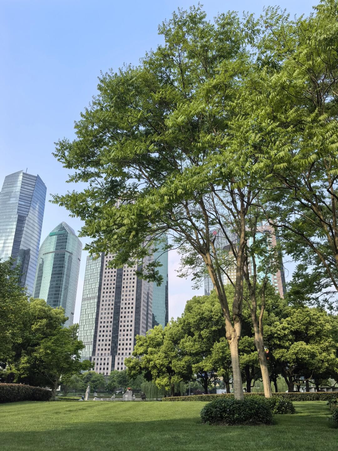 陆家嘴中心绿地旅行图片 2