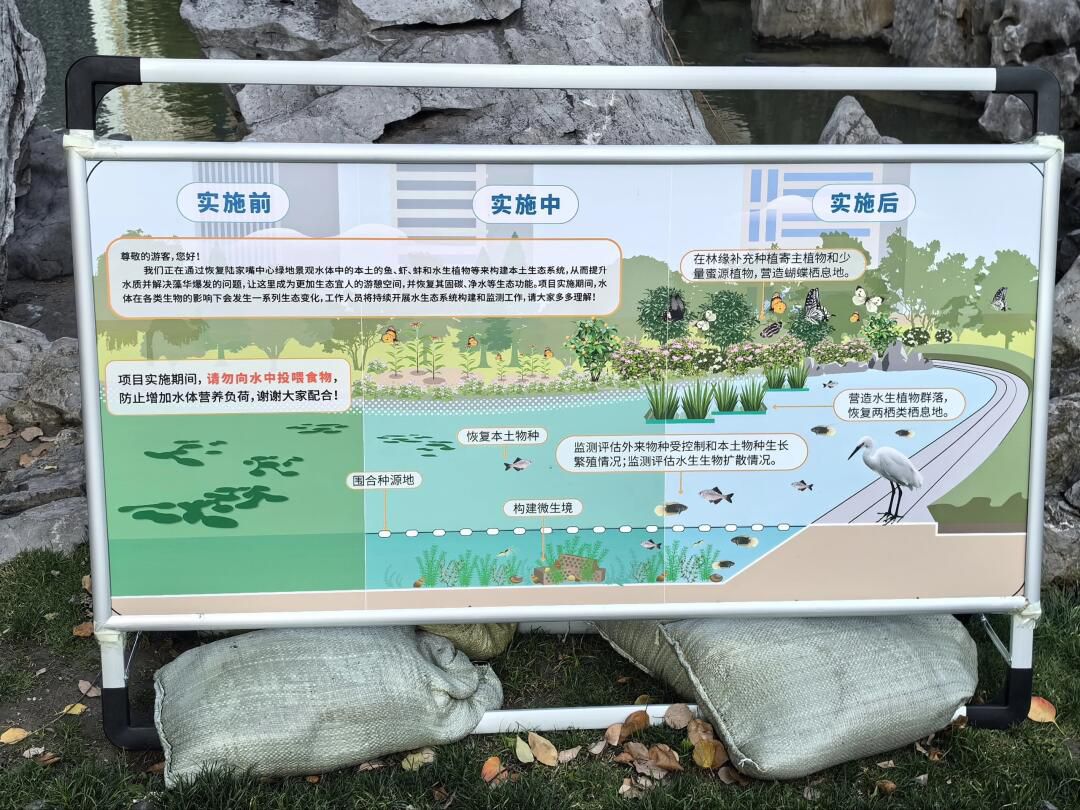 陆家嘴中心绿地旅行图片 3