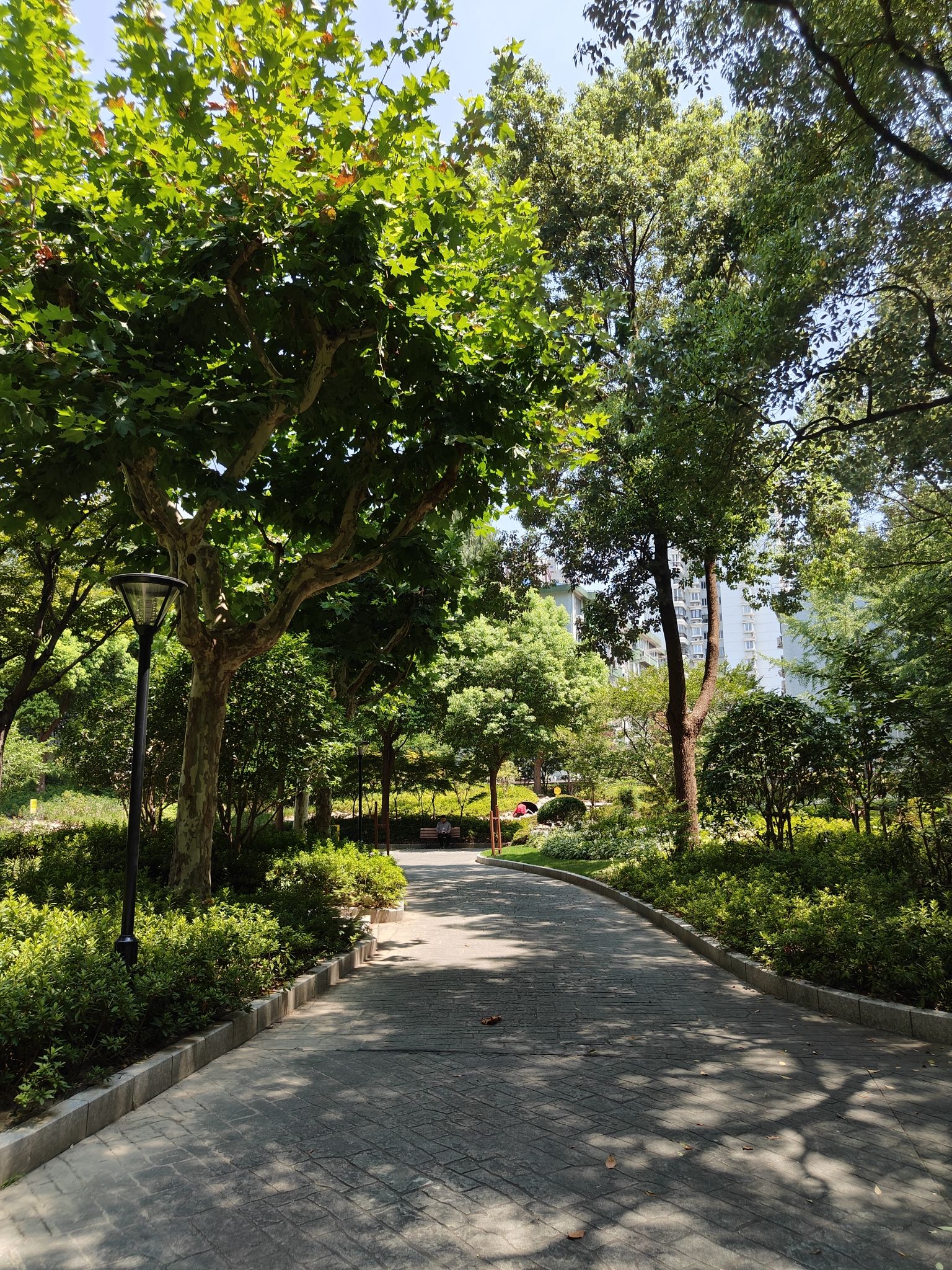 普陀公园旅行图片 3