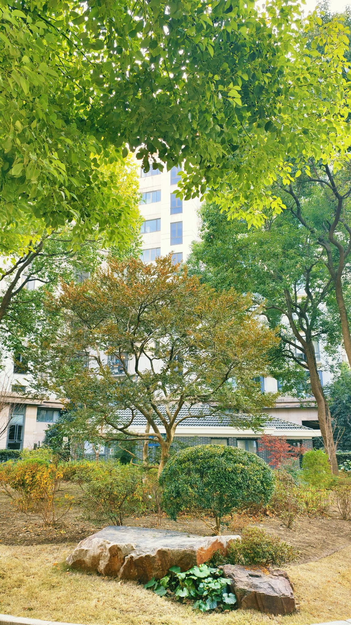 普陀公园旅行图片 1