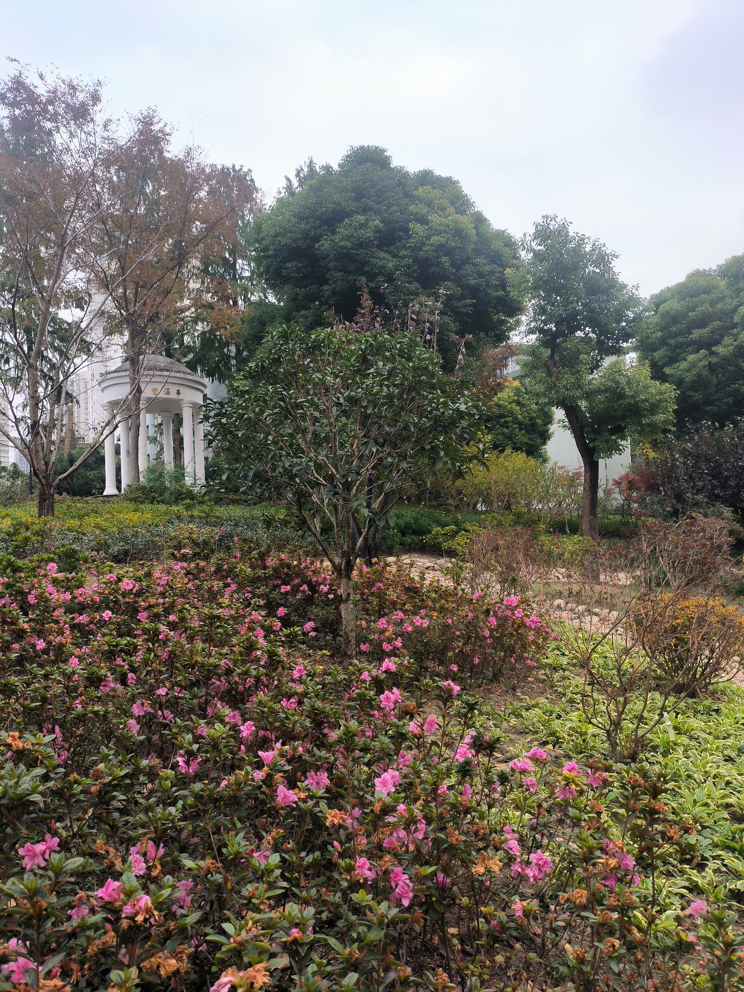 普陀公园旅行图片 2